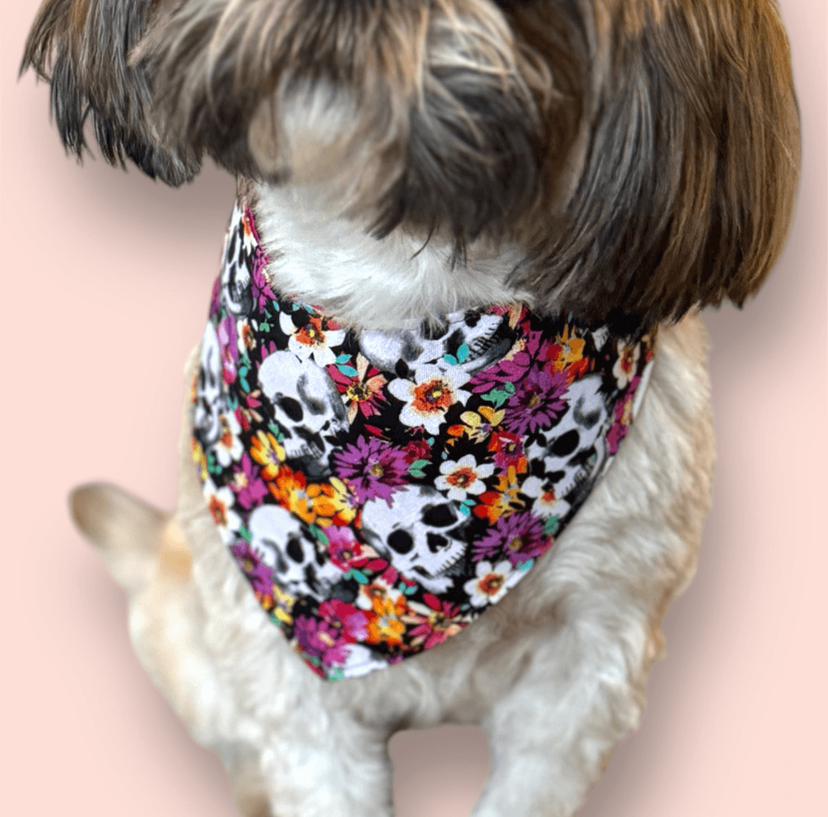 Petal & Bones Dog Bandanas gallery image