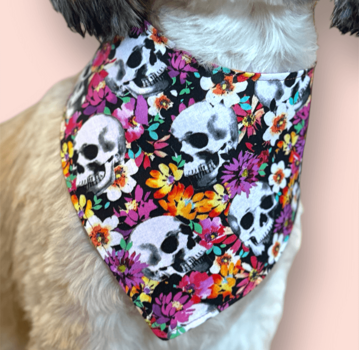 Petal & Bones Dog Bandanas gallery image