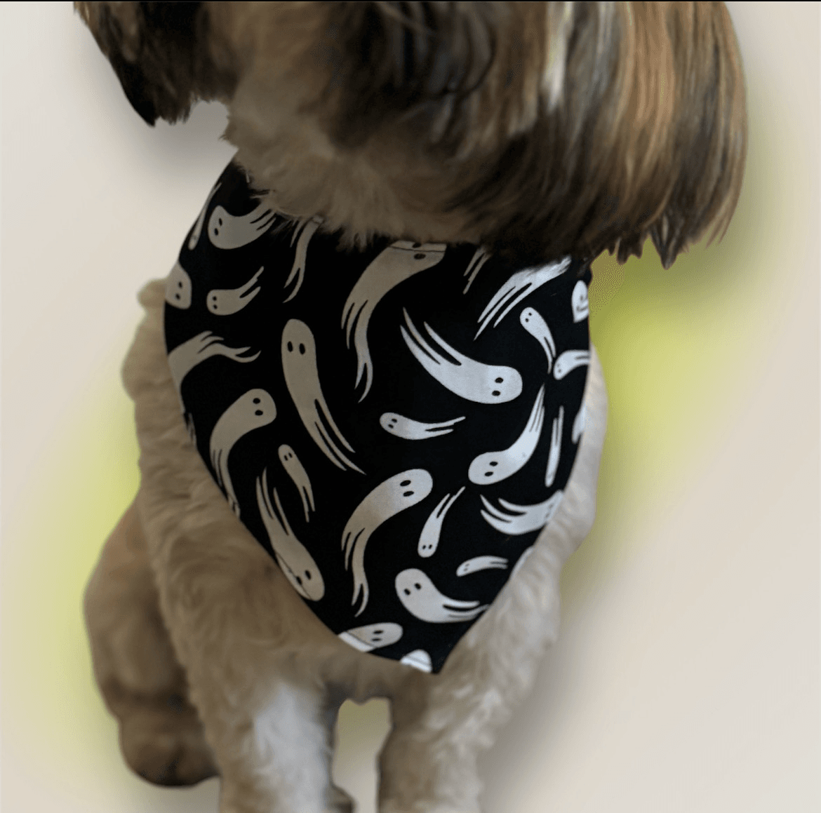 Haunted Attic Dog Bandana gallery image