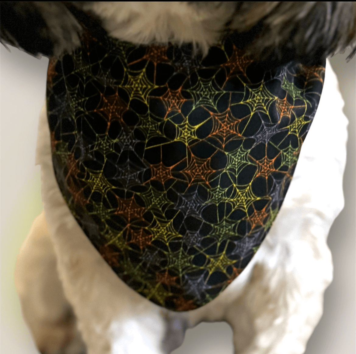 Haunted Attic Dog Bandana gallery image