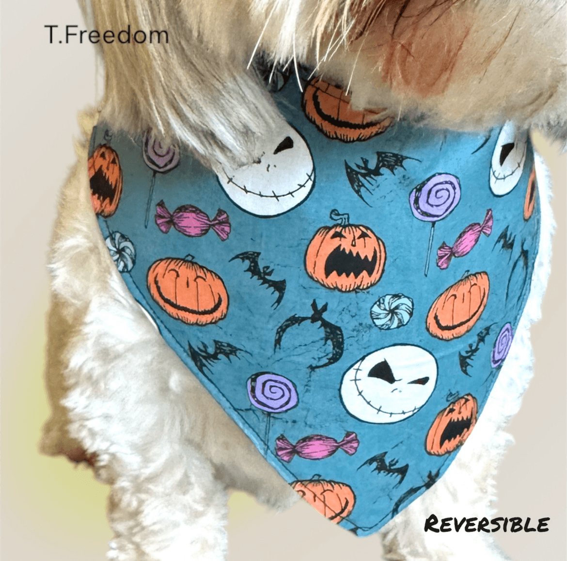 This Is Halloween gallery image