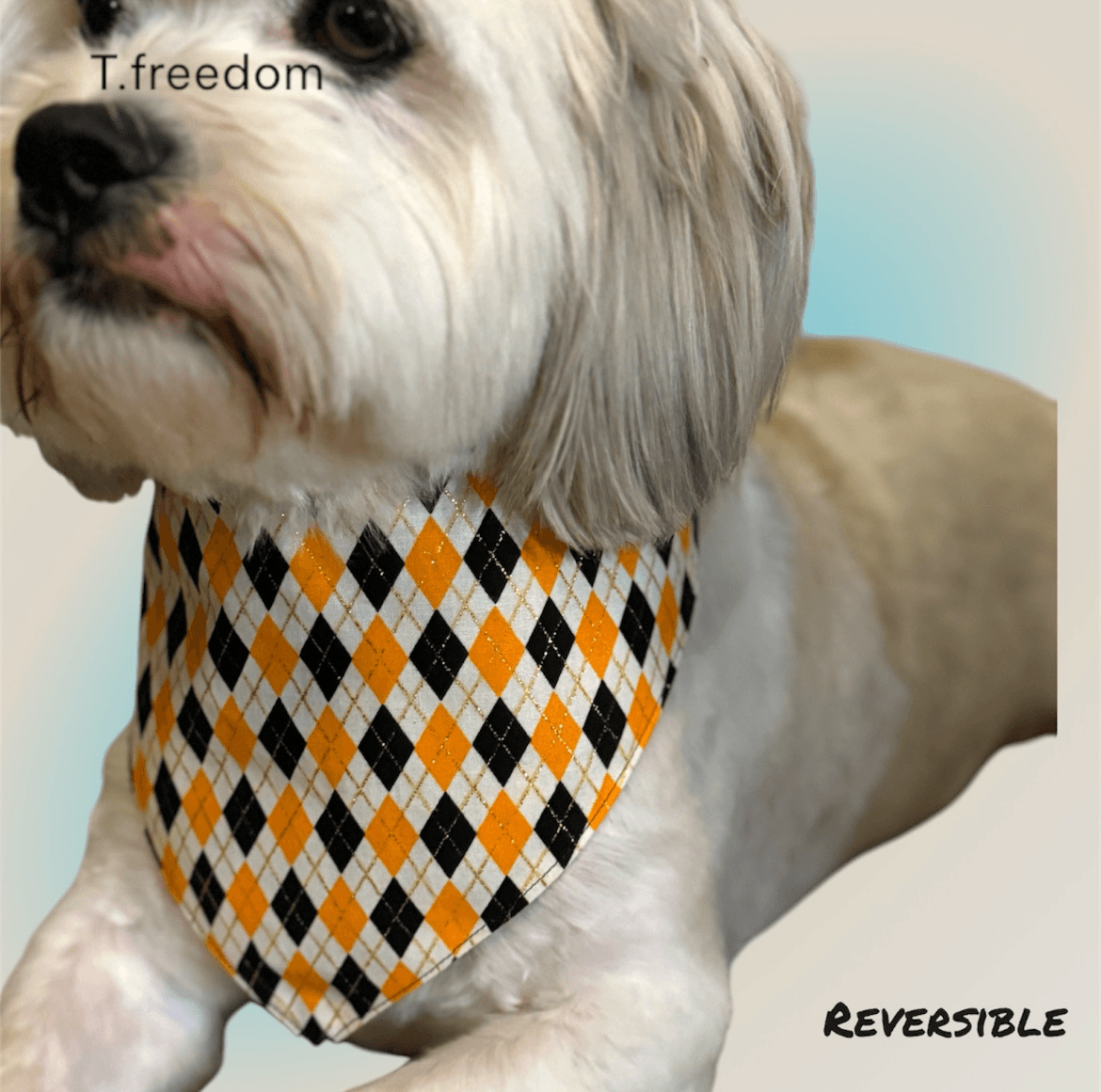 Wild West Rebel Dog Bandanna gallery image