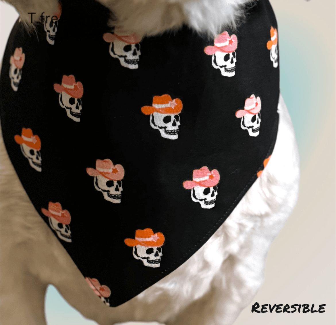 Wild West Rebel Dog Bandanna gallery image