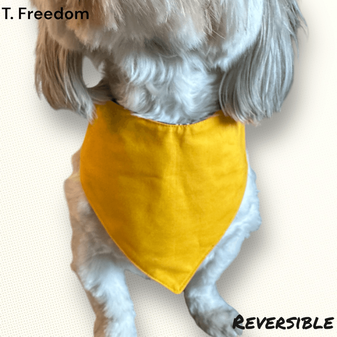 Cheesetax Collector Dog Bandana gallery image