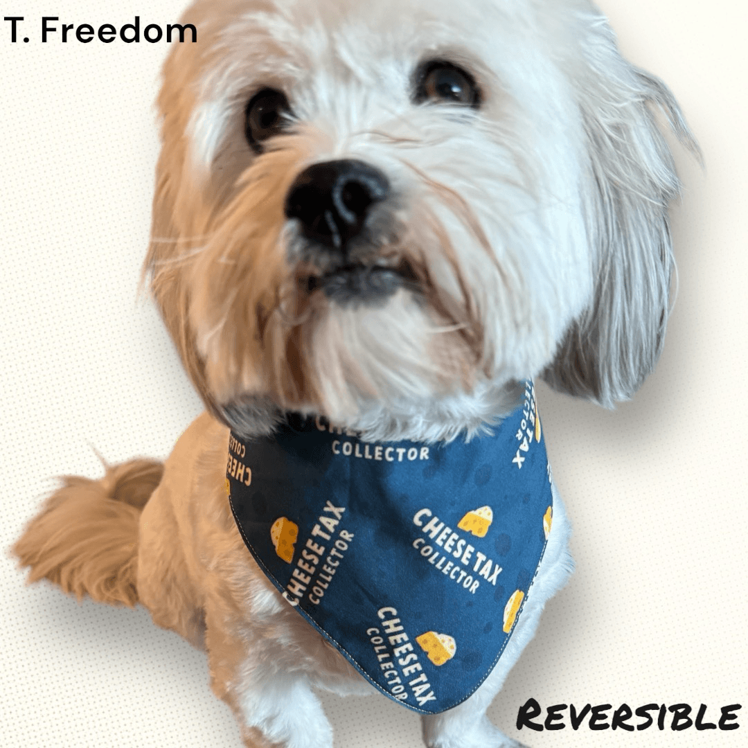 Cheesetax Collector Dog Bandana gallery image