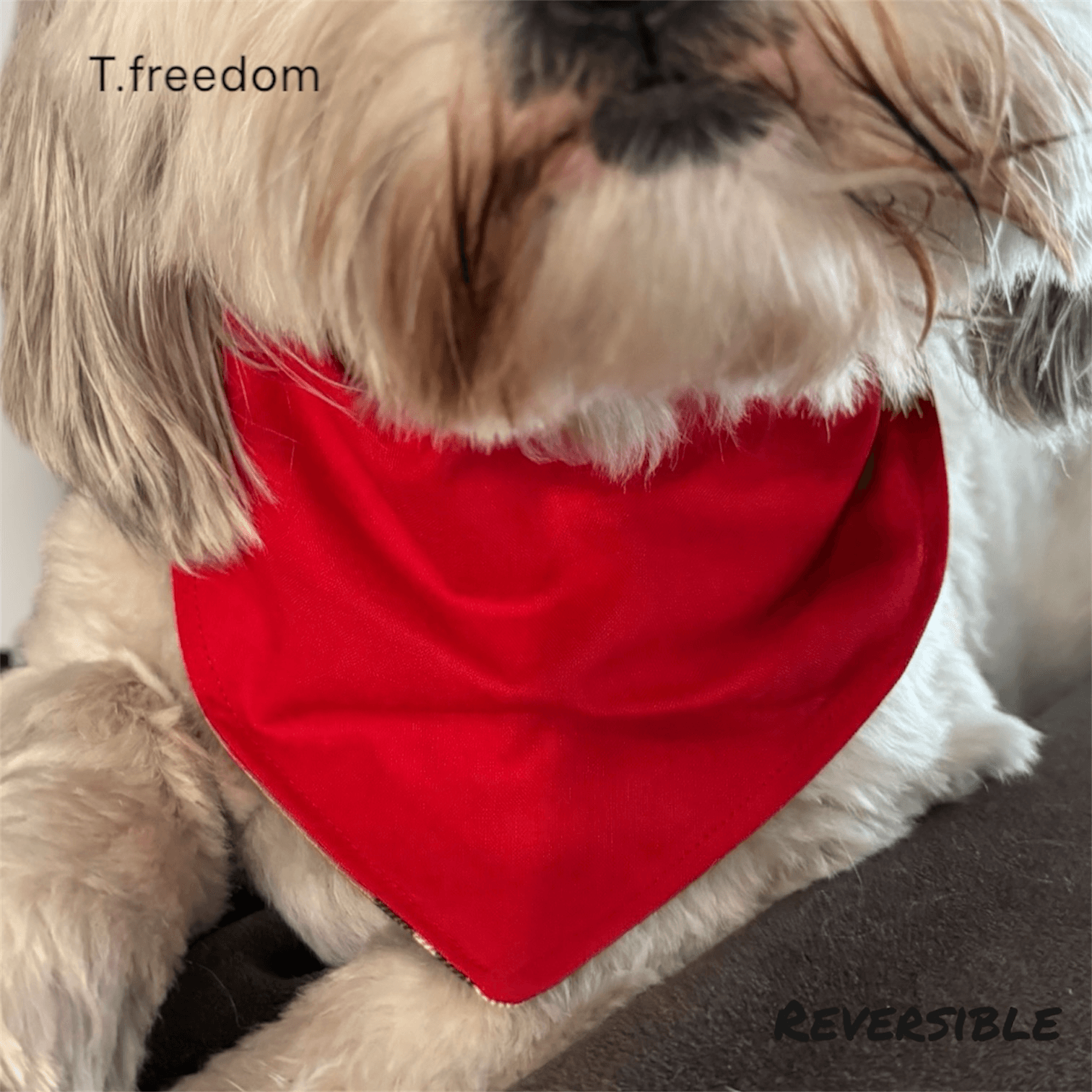 Fur-berry Dog Bandana gallery image
