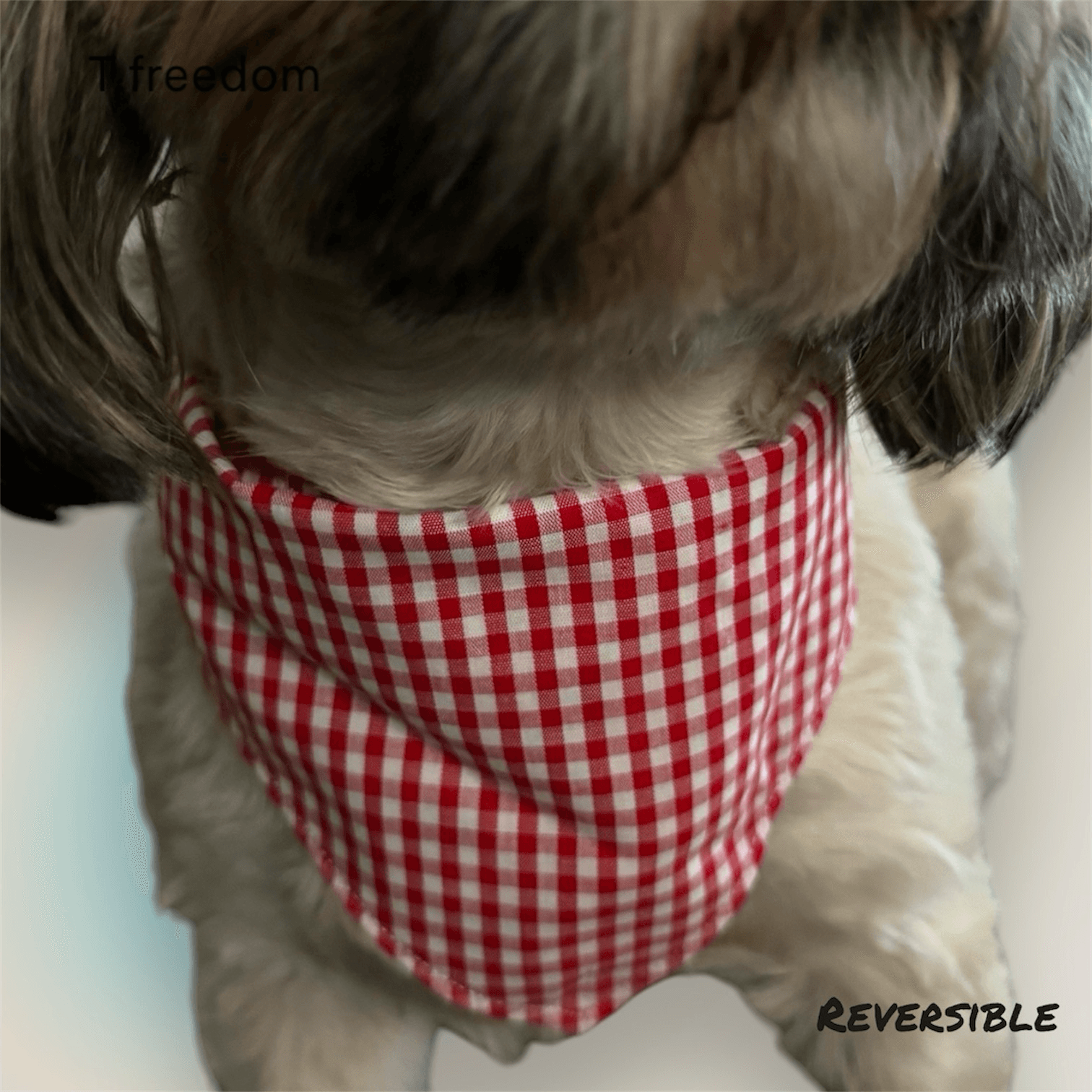Hello Cutie Dog Bandana gallery image