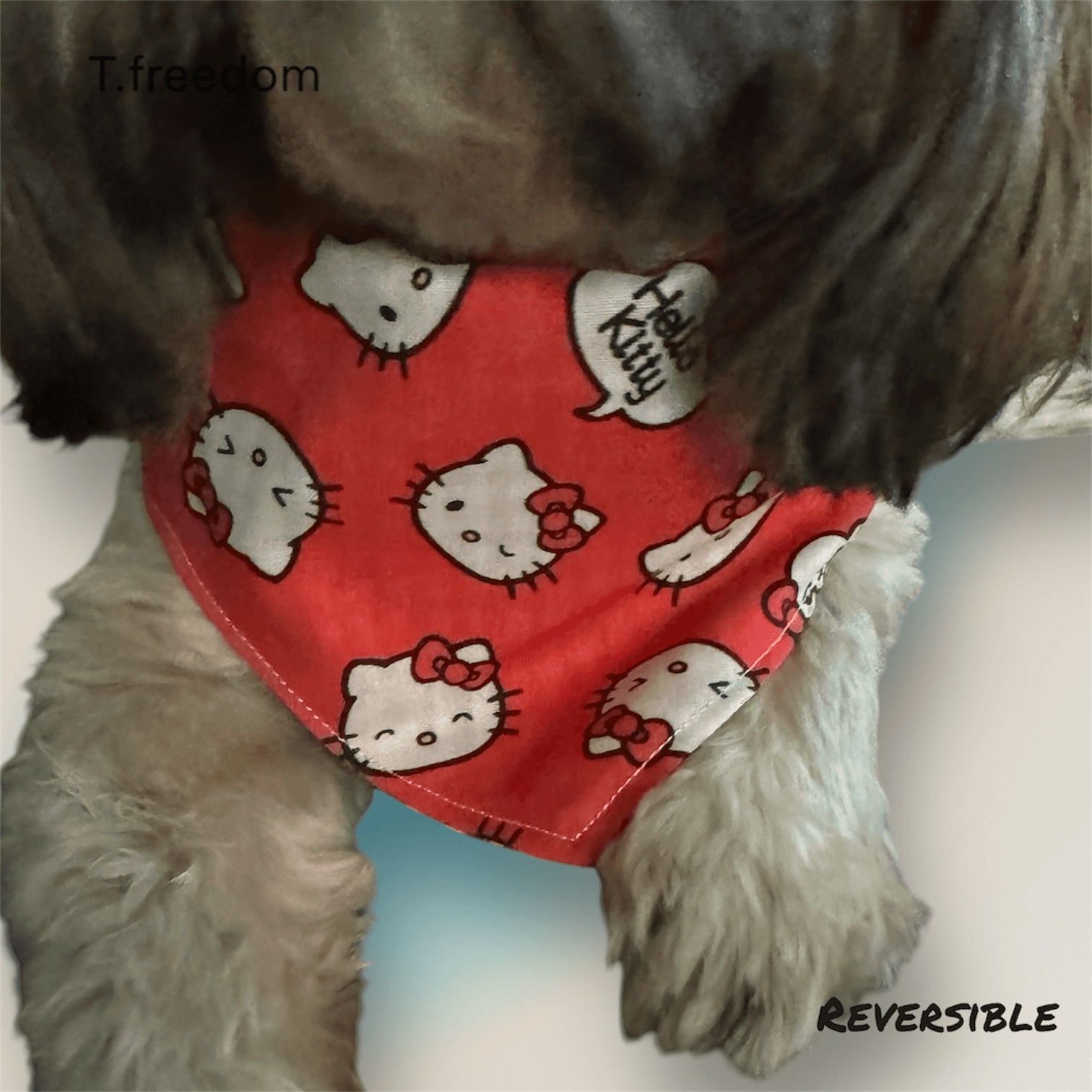 Hello Cutie Dog Bandana