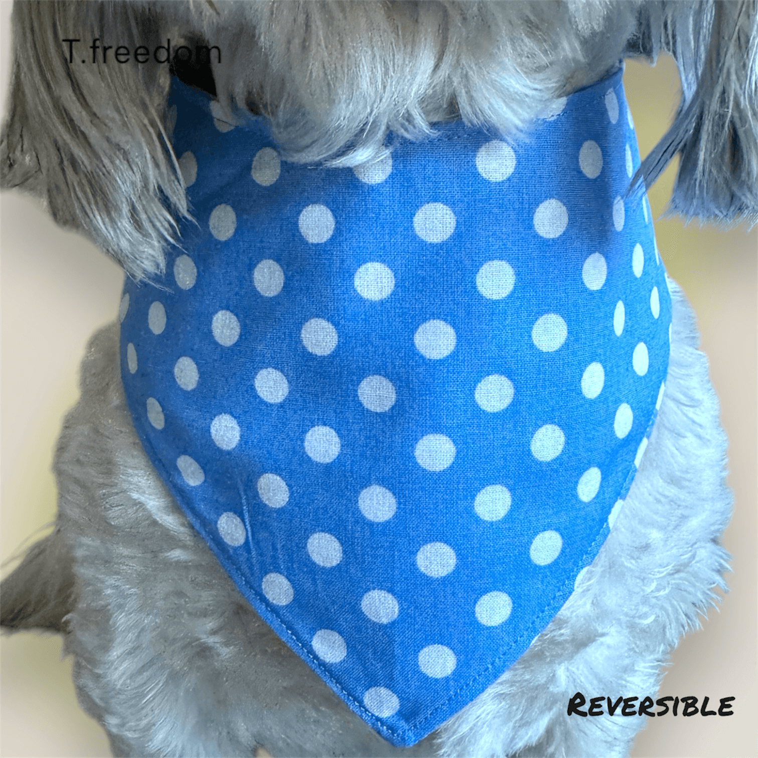 Petal & Polka Dog Bandana gallery image