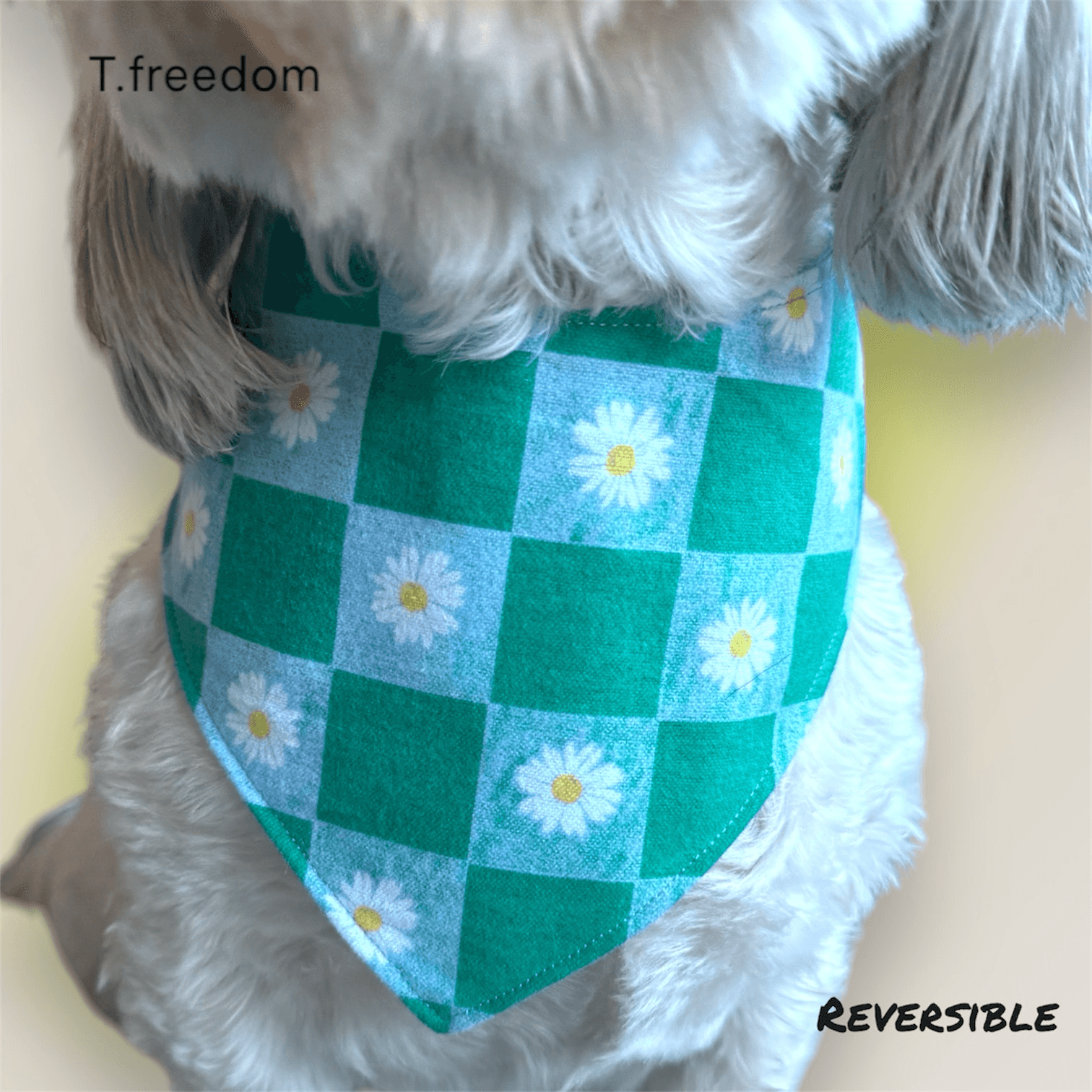 Petal & Polka Dog Bandana