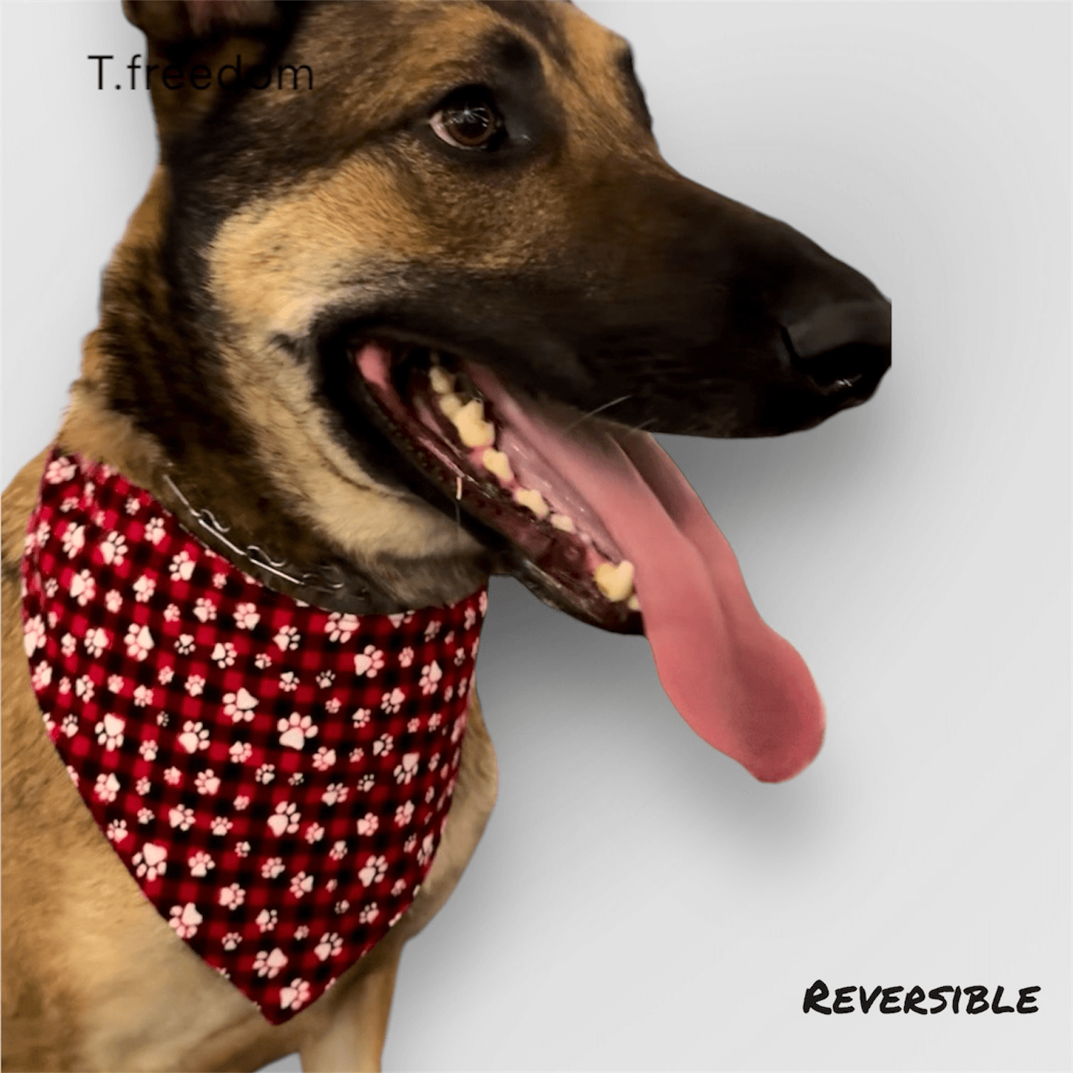 Peppermint Plaid Dog Bandana gallery image