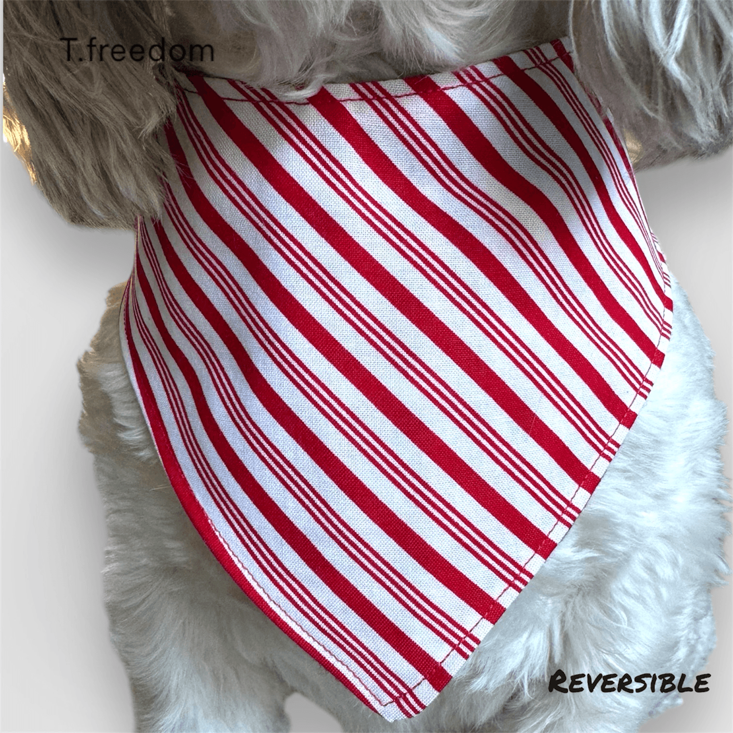 Peppermint Plaid Dog Bandana gallery image