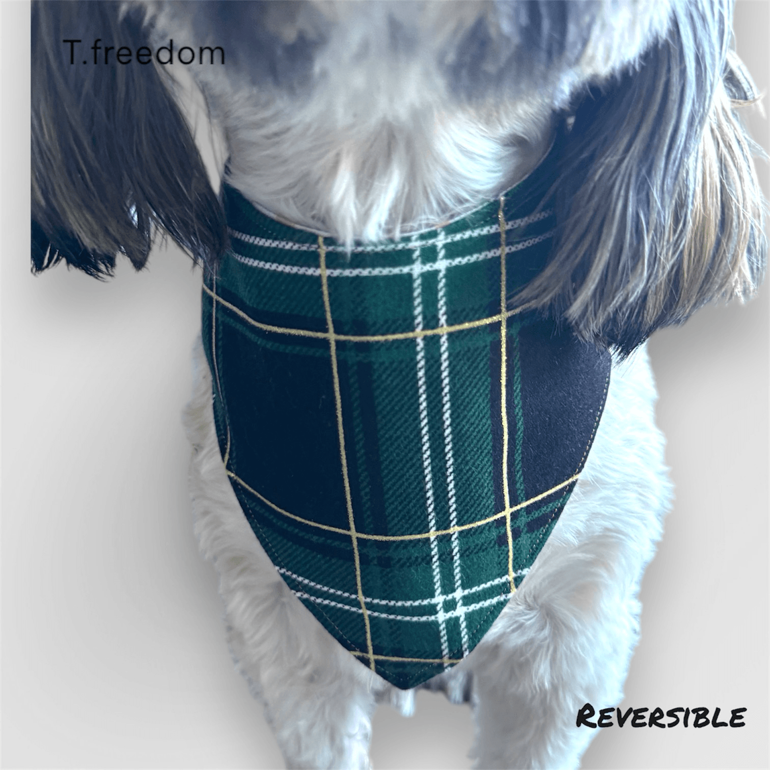 Evergreen Cheer Dog Bandana gallery image