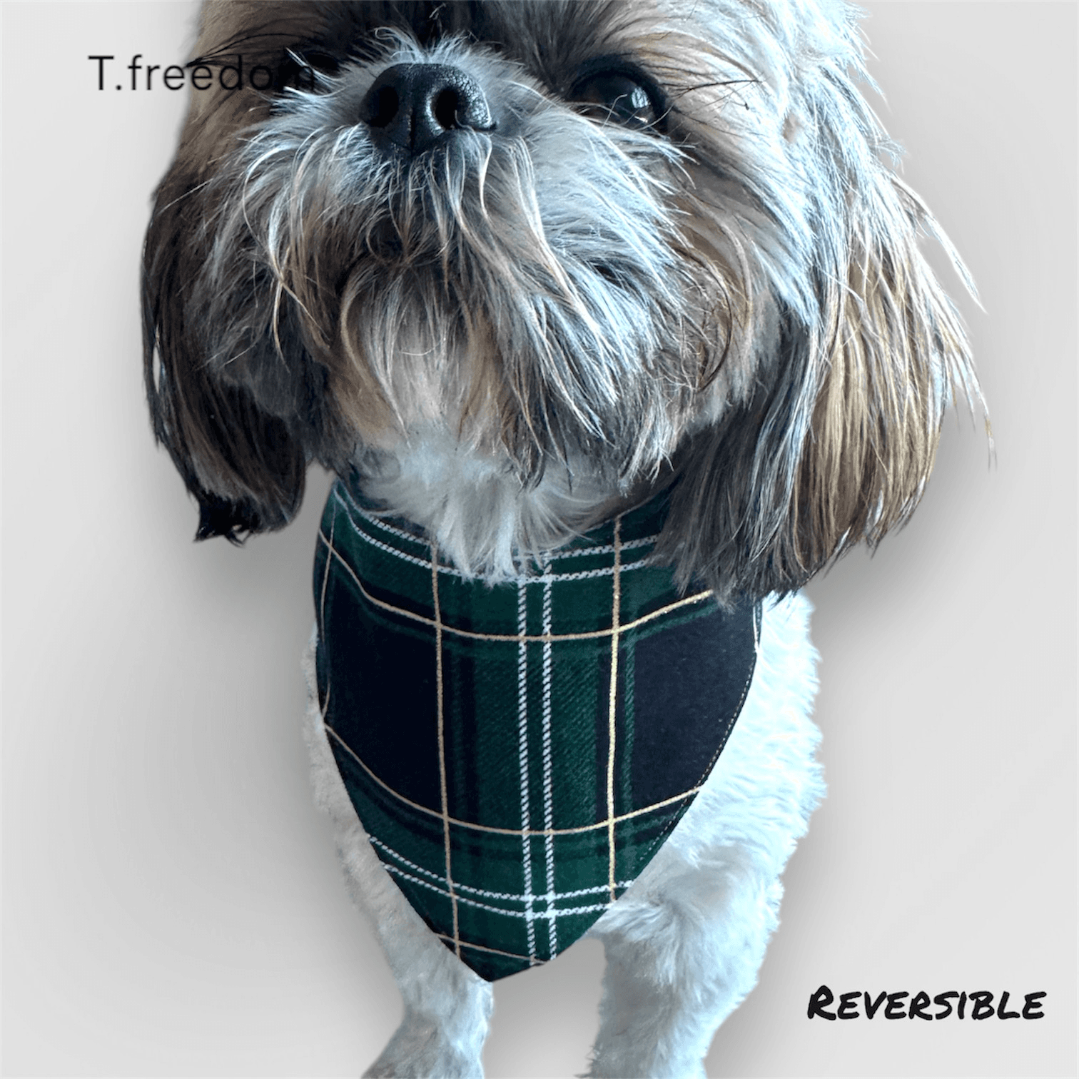 Evergreen Cheer Dog Bandana gallery image