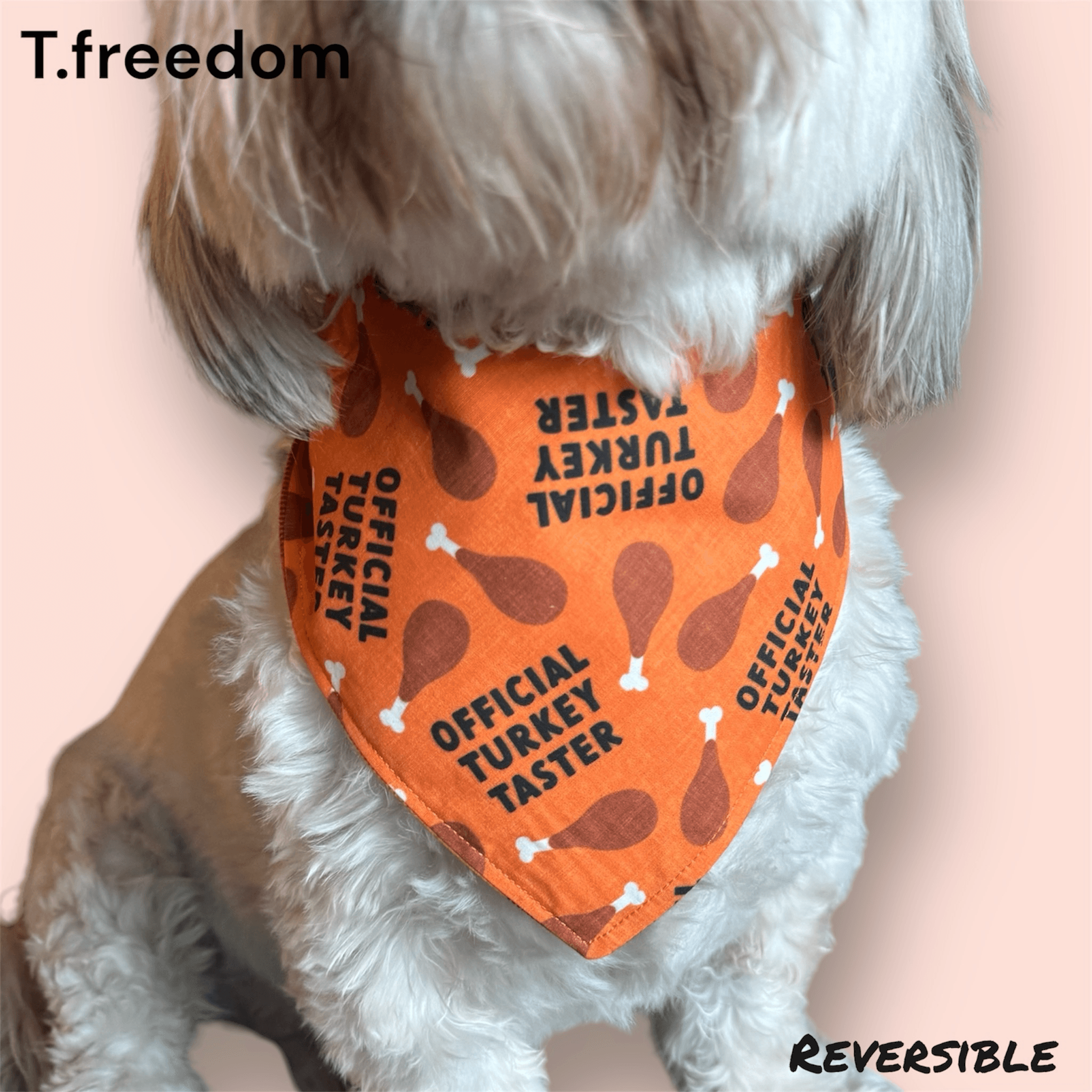 Gobble -n- Plaid Dog Bandana