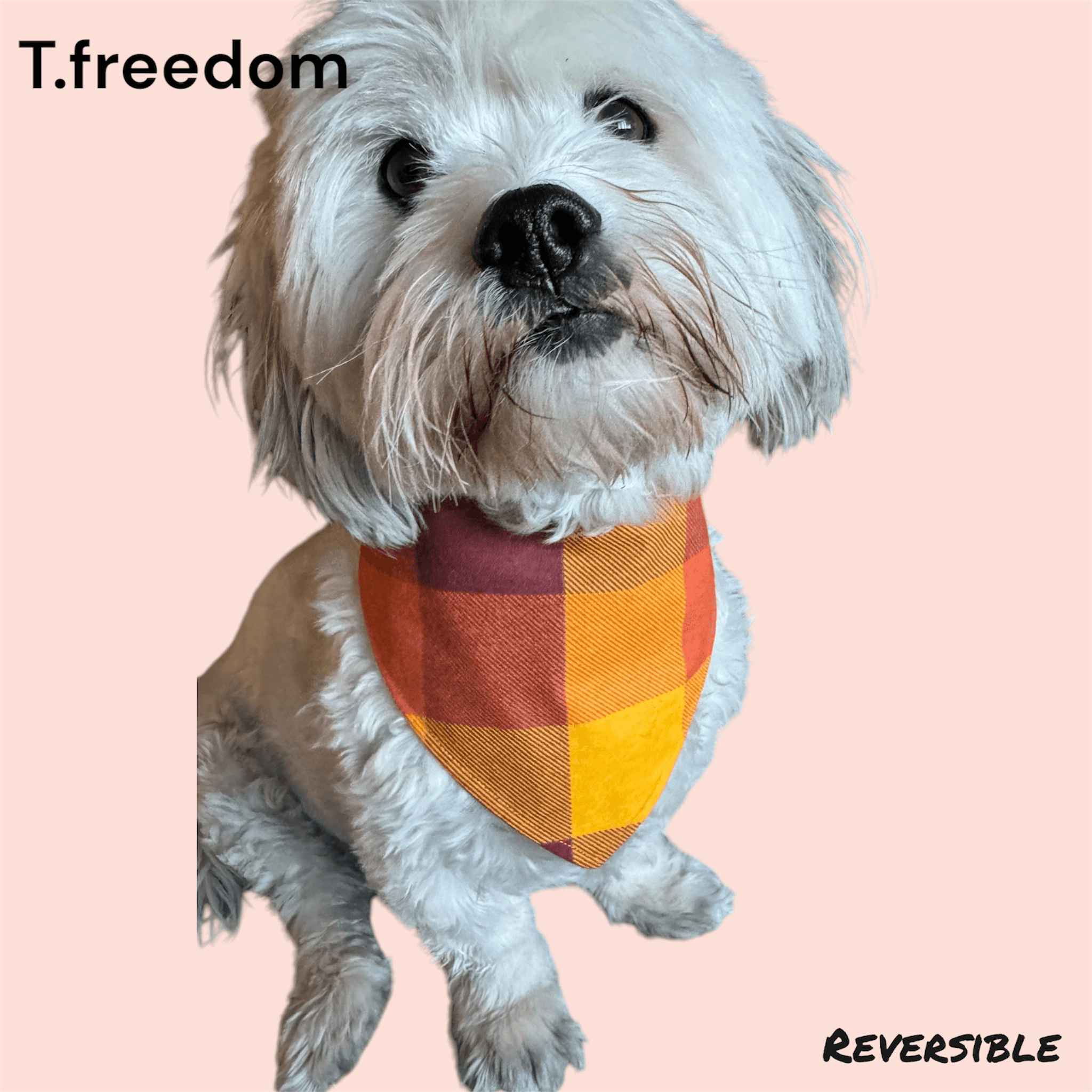 Gobble -n- Plaid Dog Bandana gallery image