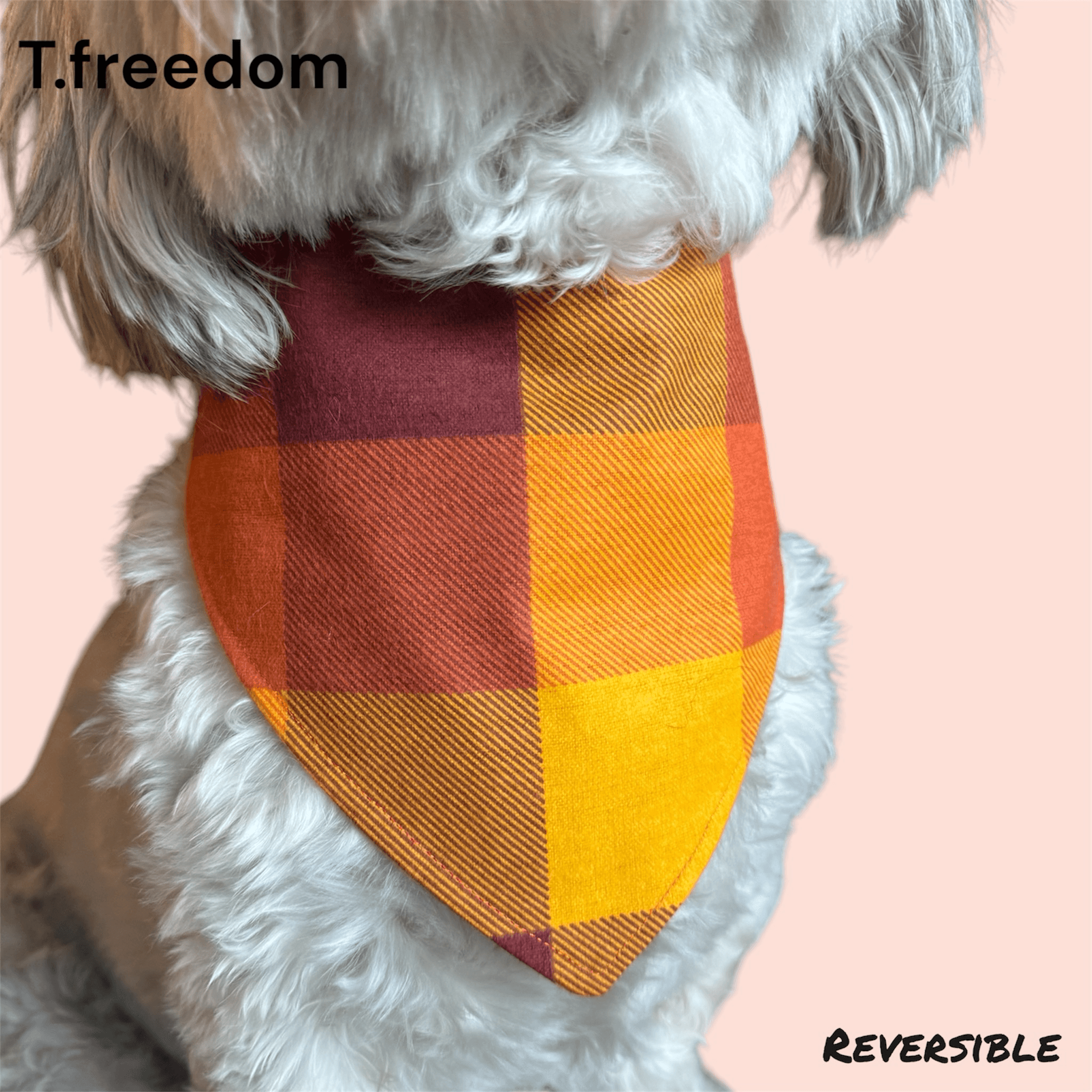 Gobble -n- Plaid Dog Bandana gallery image