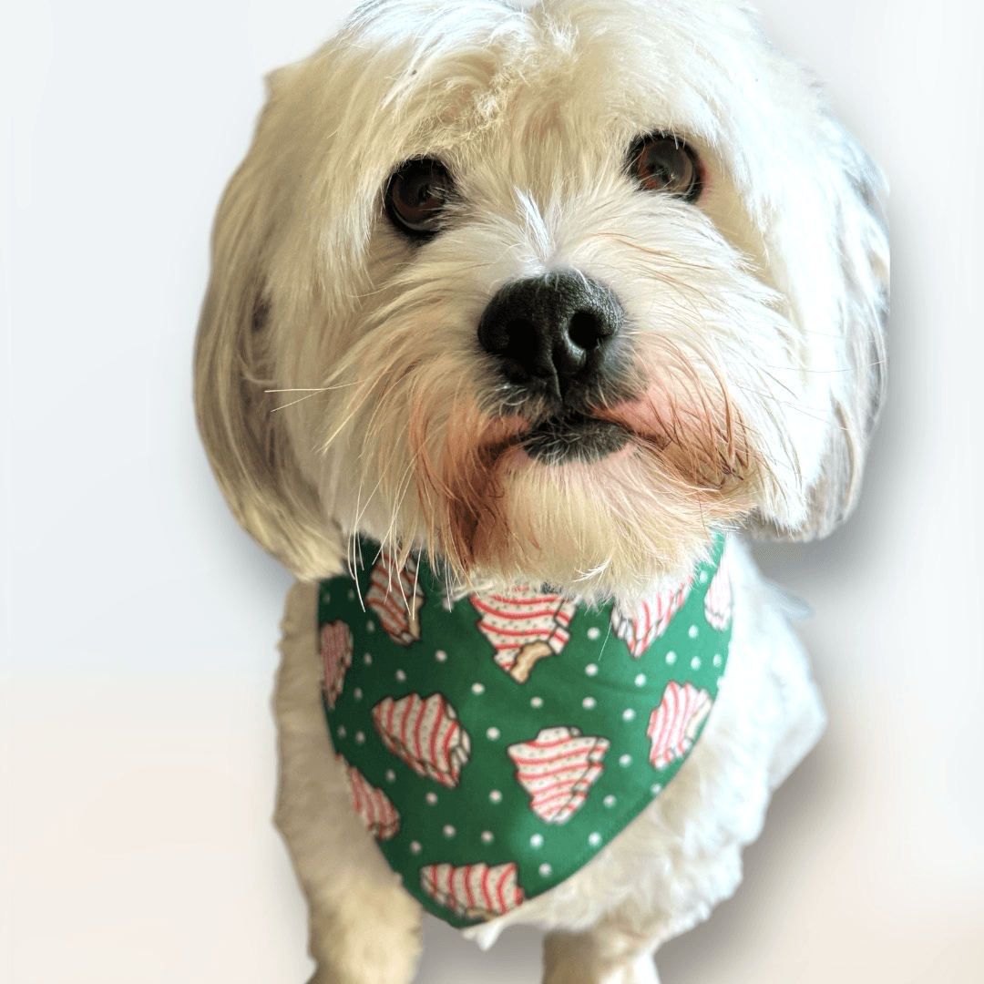 Holiday Treat Dog Bandana gallery image