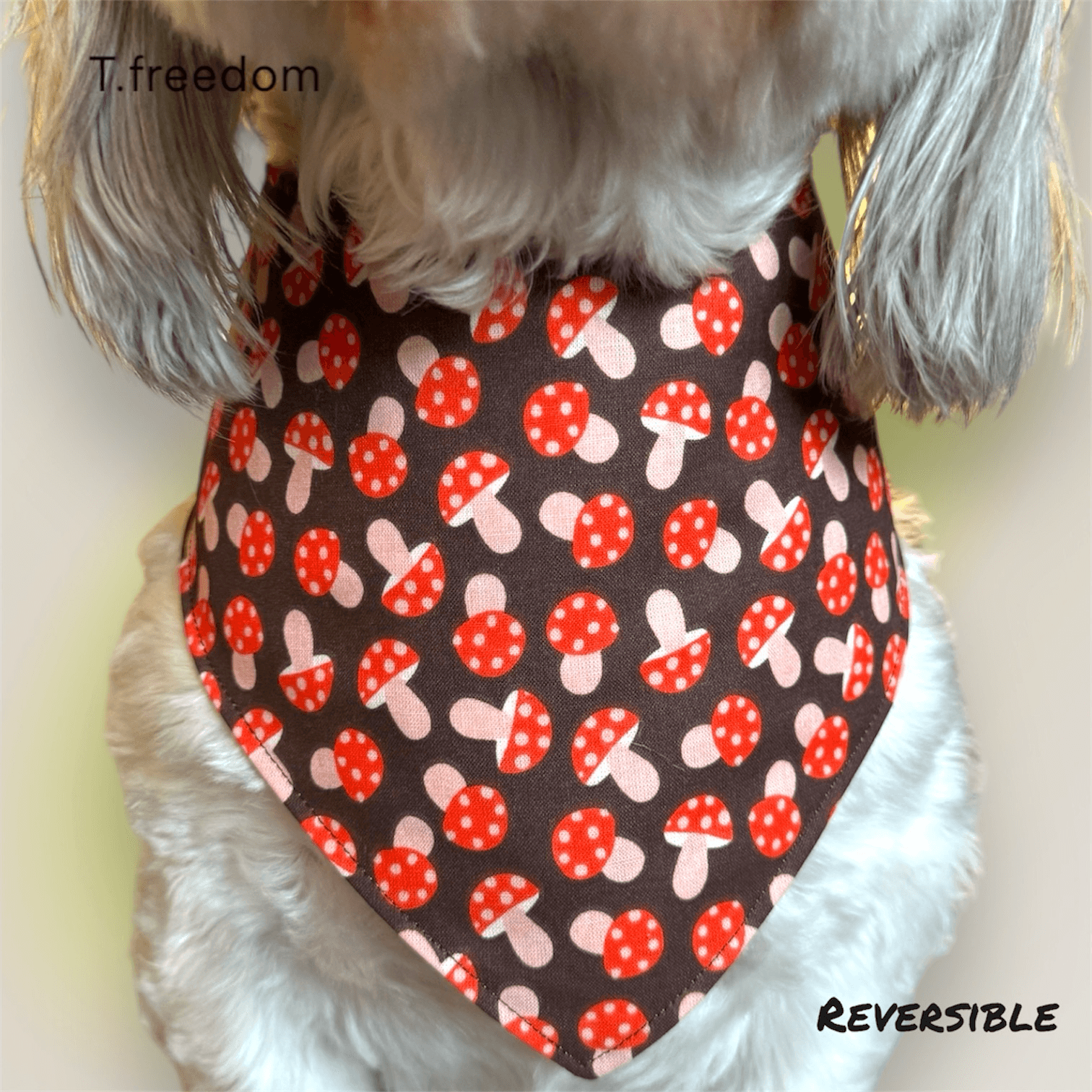 Harvest Harmony Dog Bandana gallery image