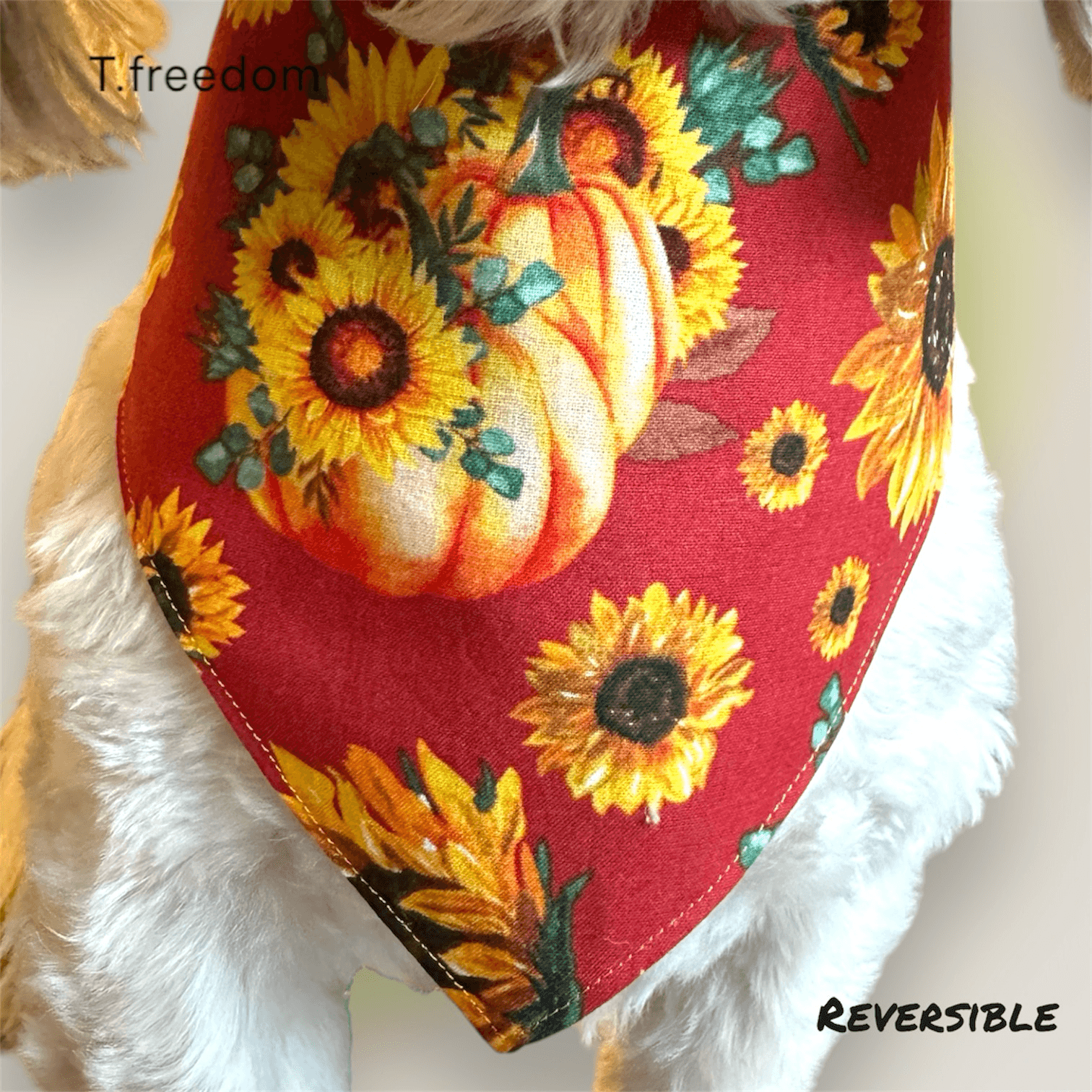 Harvest Harmony Dog Bandana gallery image