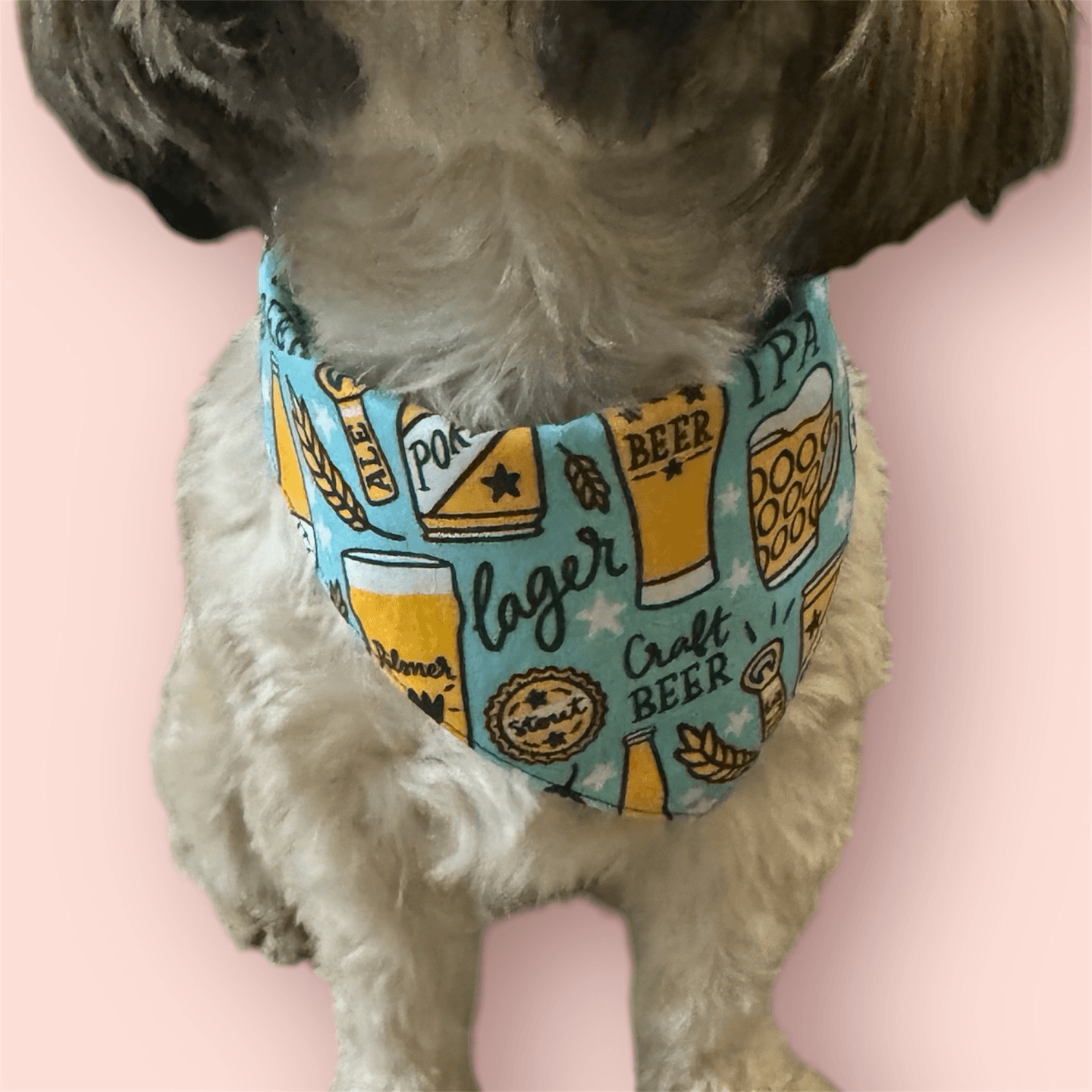 Oktoberfest Beer Bandana gallery image