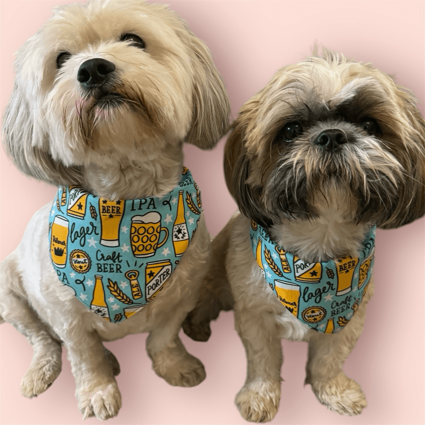 Oktoberfest Beer Bandana gallery image
