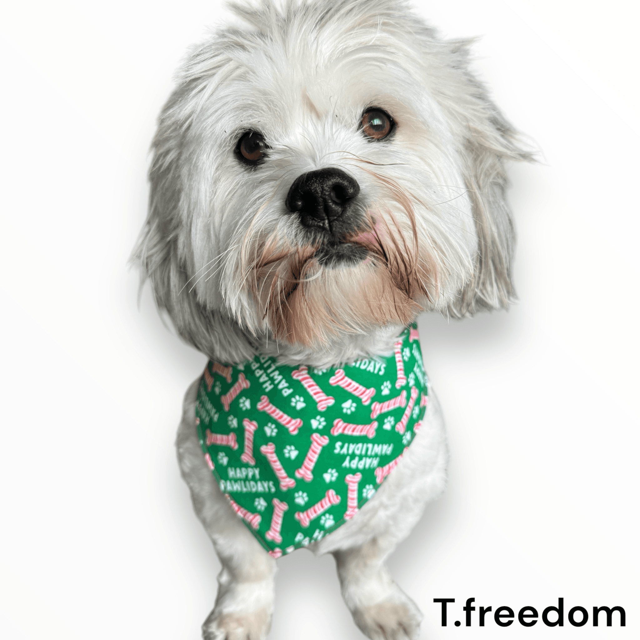 Happy PAWLIDAYS Dog Bandana gallery image