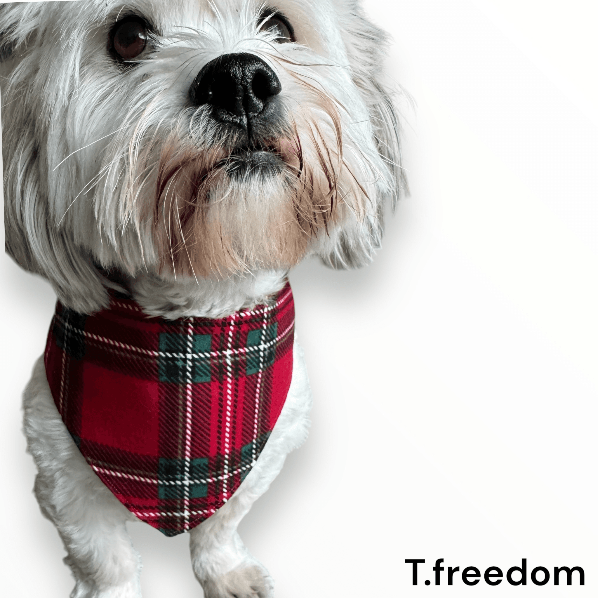 Happy PAWLIDAYS Dog Bandana gallery image