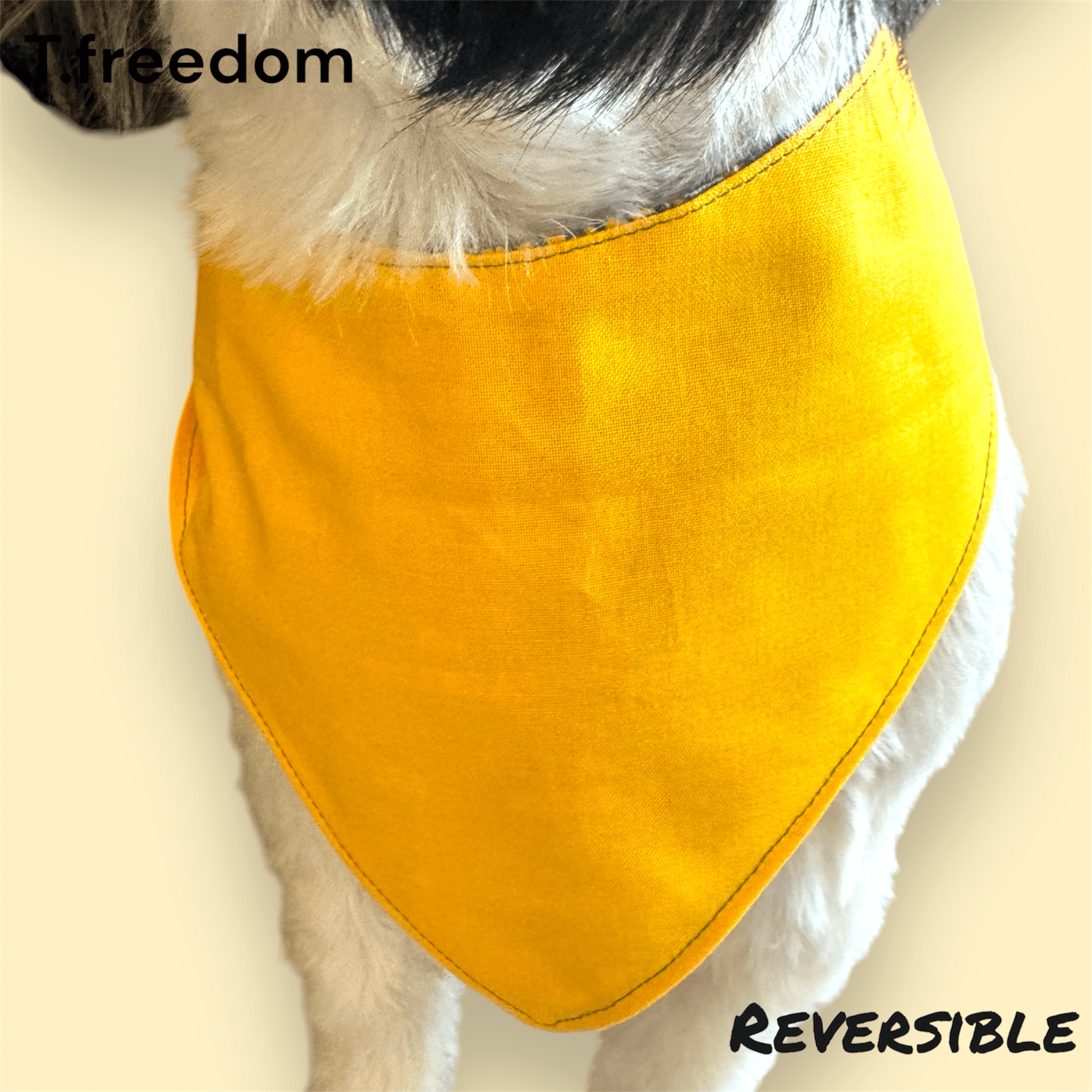 Paws For The Packers Dog Bandana gallery image