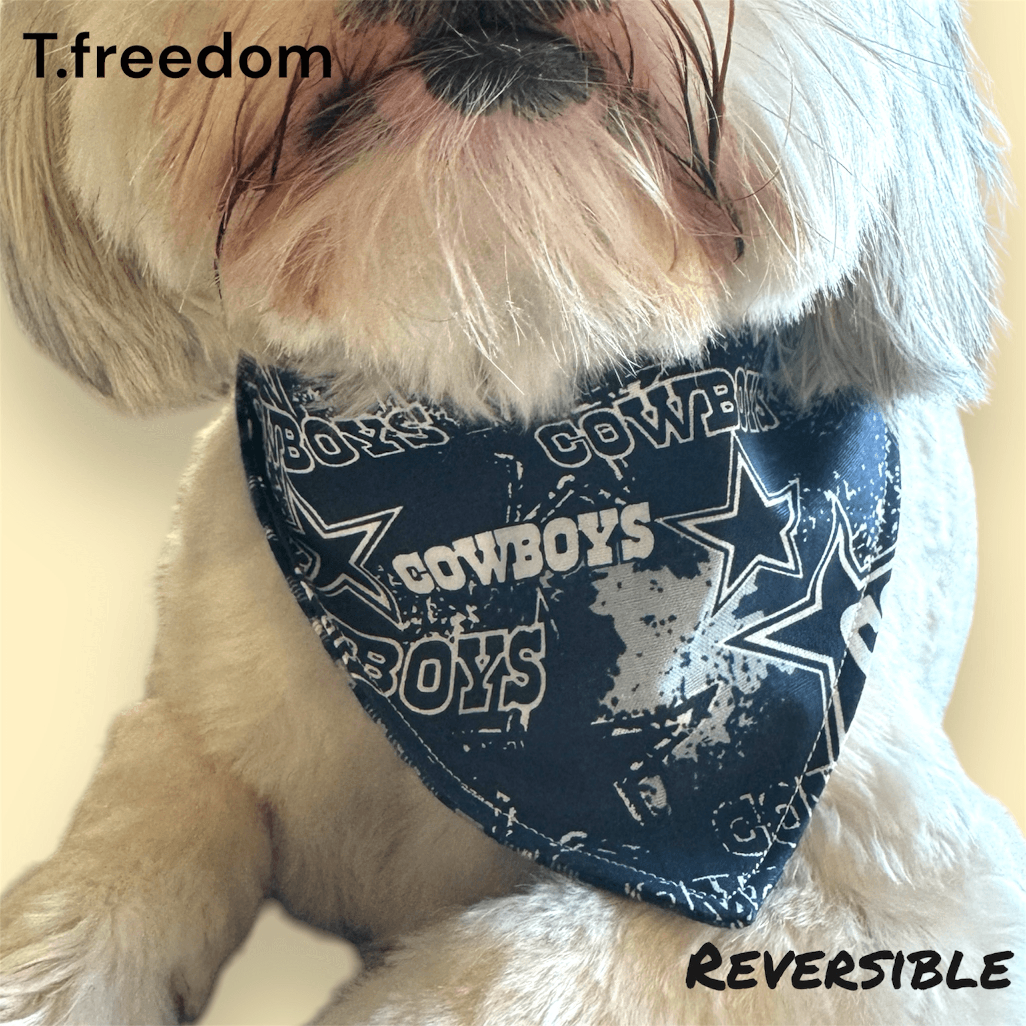 Loyal Star Dog Bandana gallery image