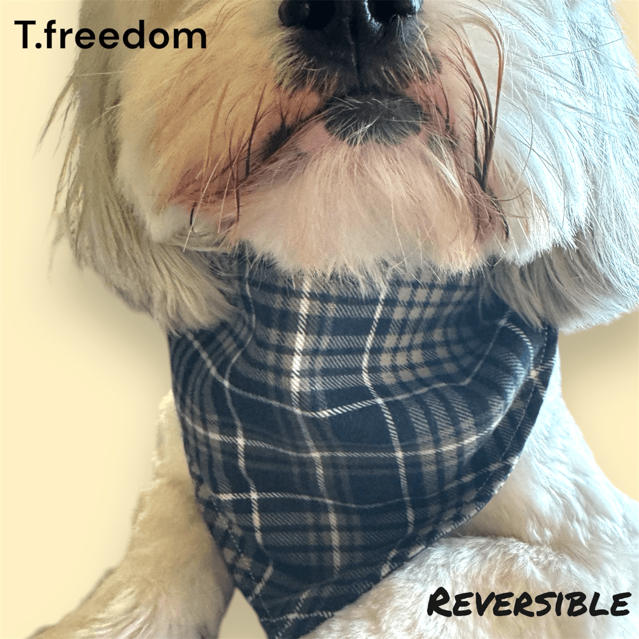 Loyal Star Dog Bandana gallery image
