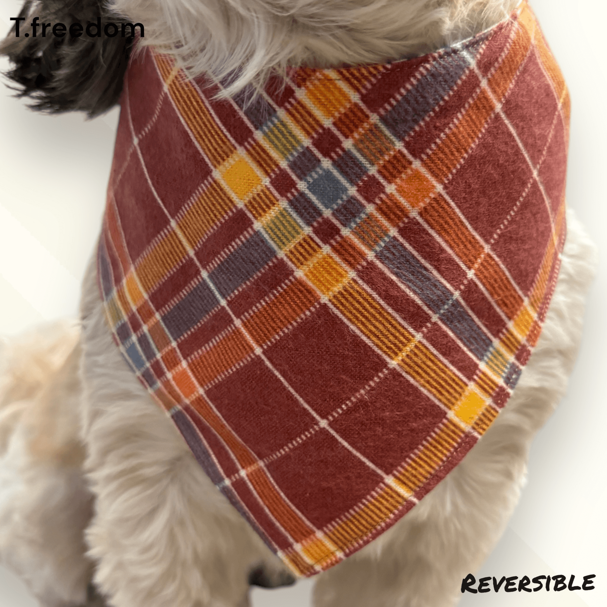 Pupkin Spice Latte Dog Bandana gallery image