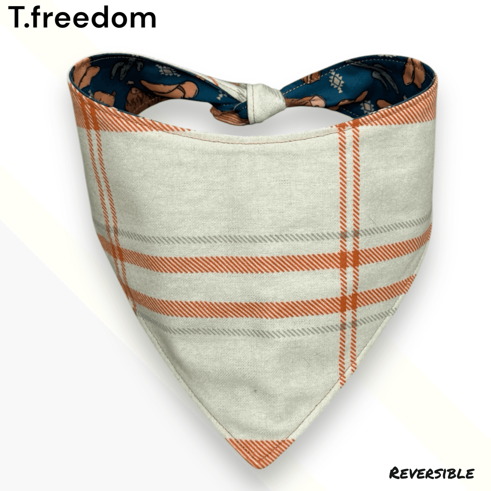 Desert Trail Adventure Dog Bandana gallery image