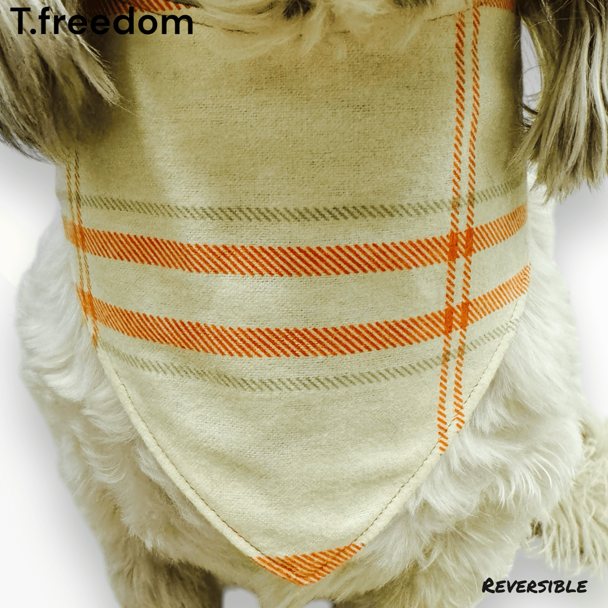 Desert Trail Adventure Dog Bandana gallery image