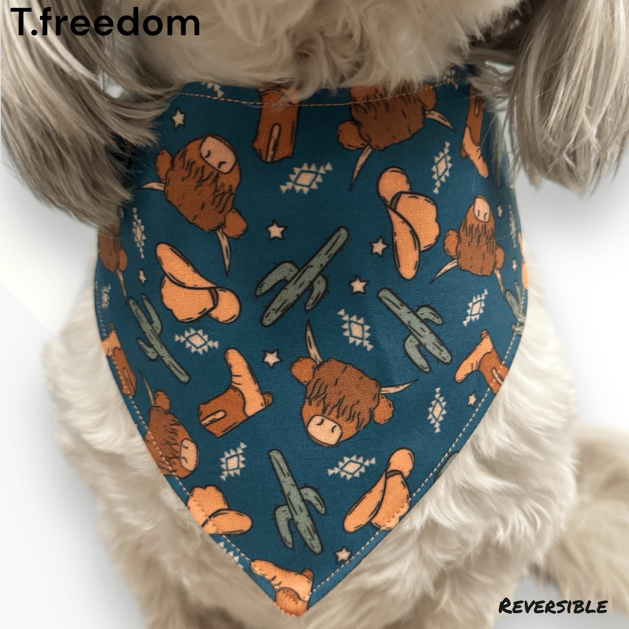 Desert Trail Adventure Dog Bandana gallery image