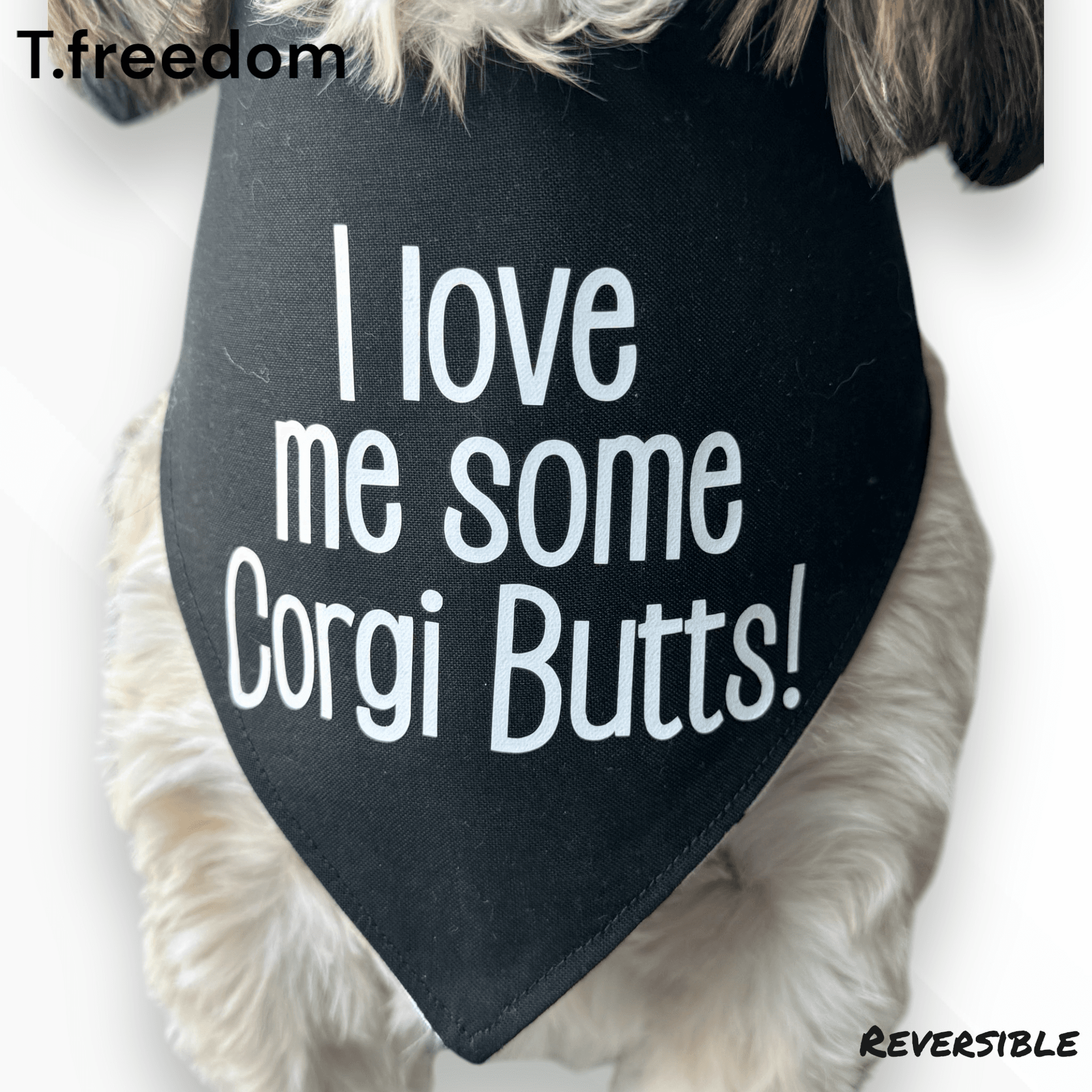 Bootylicious Corgi Dog Bandana