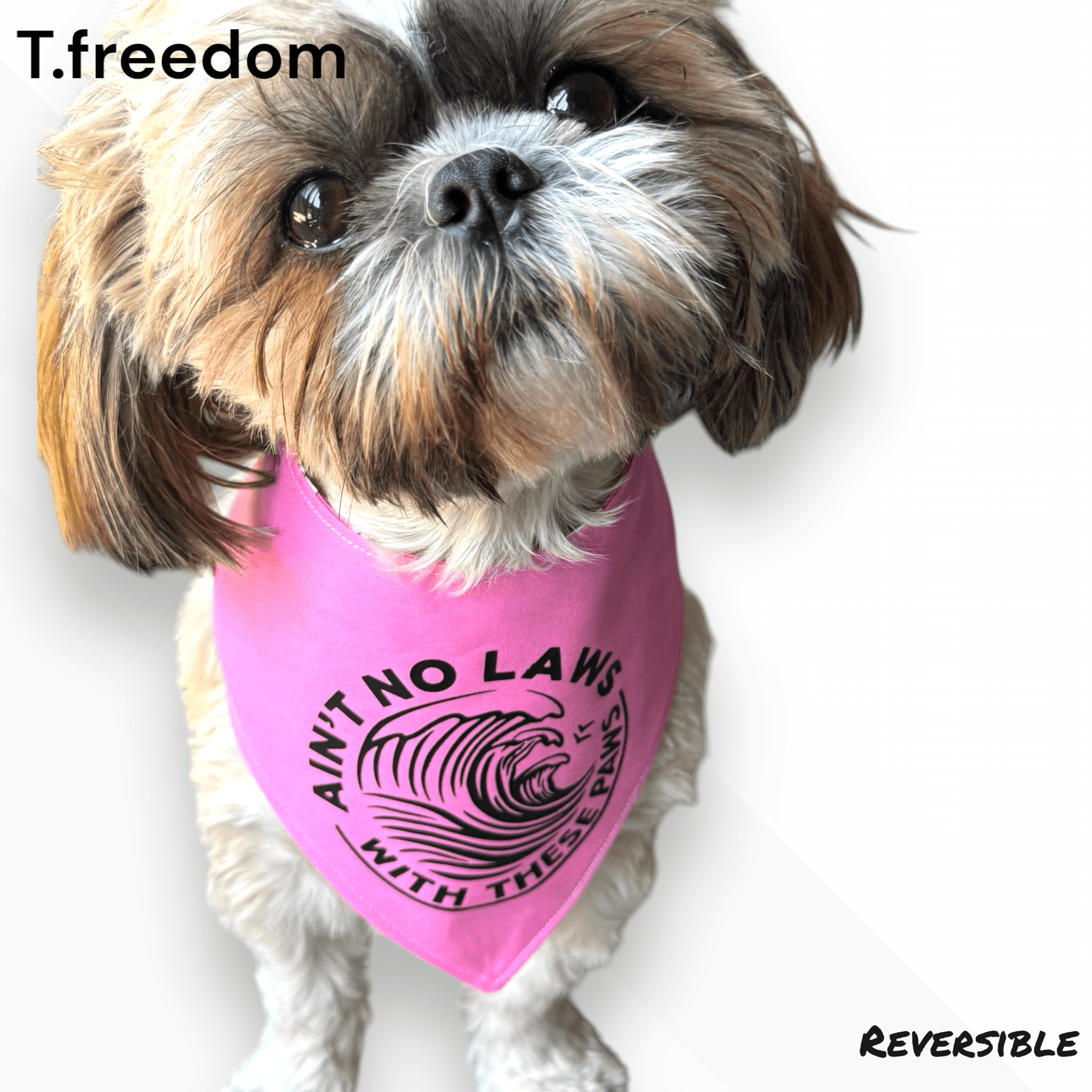 Pawsitively Seltzered Dog Bandana gallery image