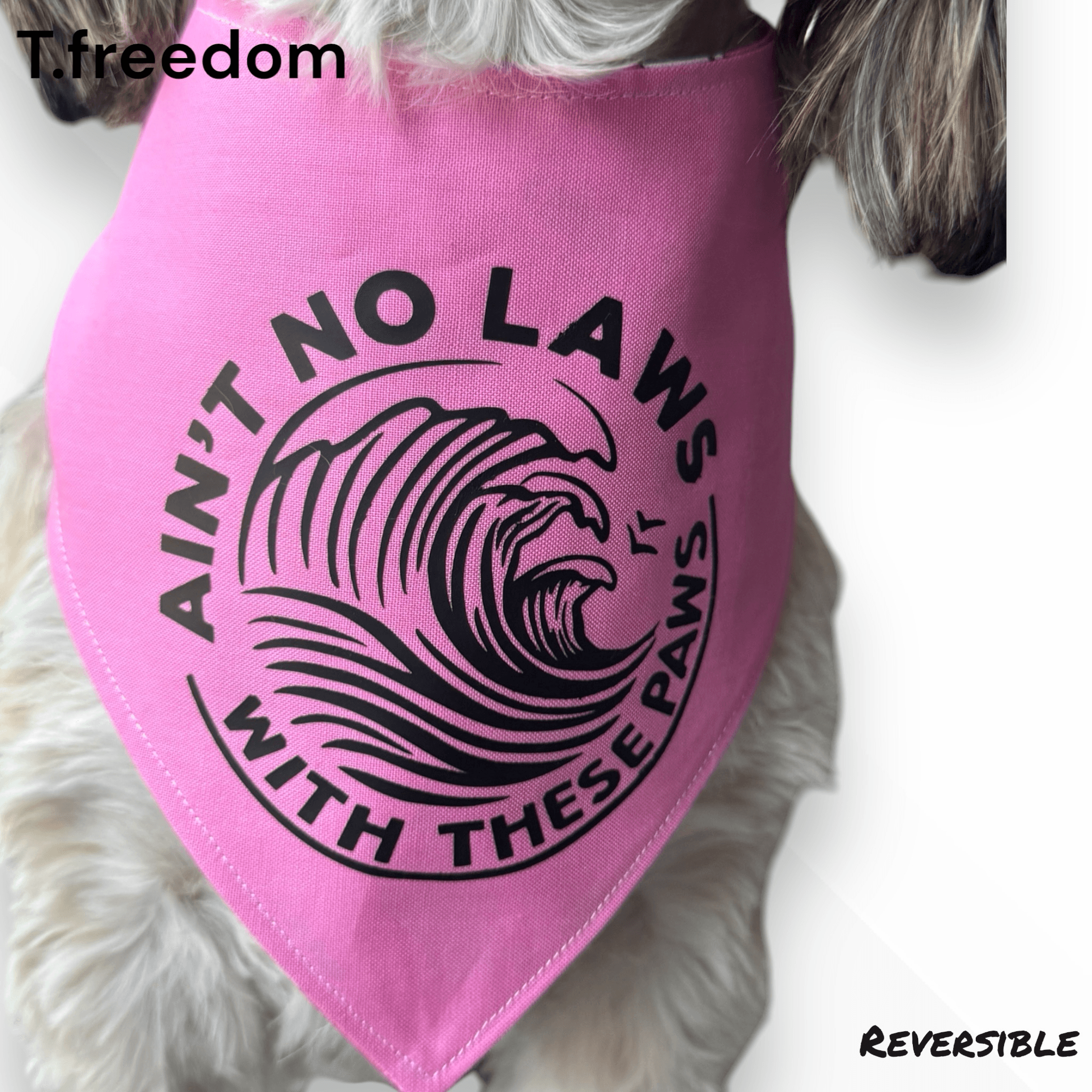 Pawsitively Seltzered Dog Bandana gallery image