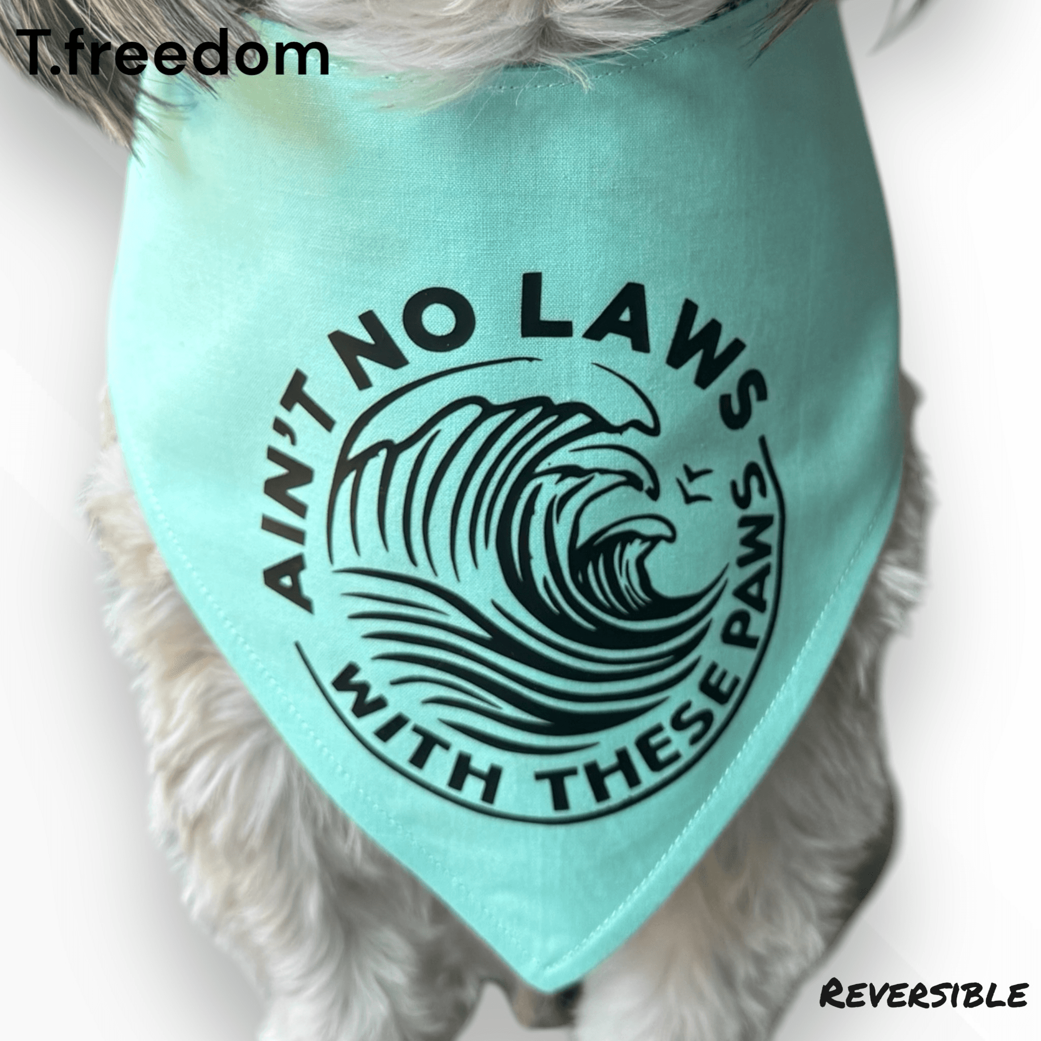 Pawsitively Seltzered Dog Bandana gallery image