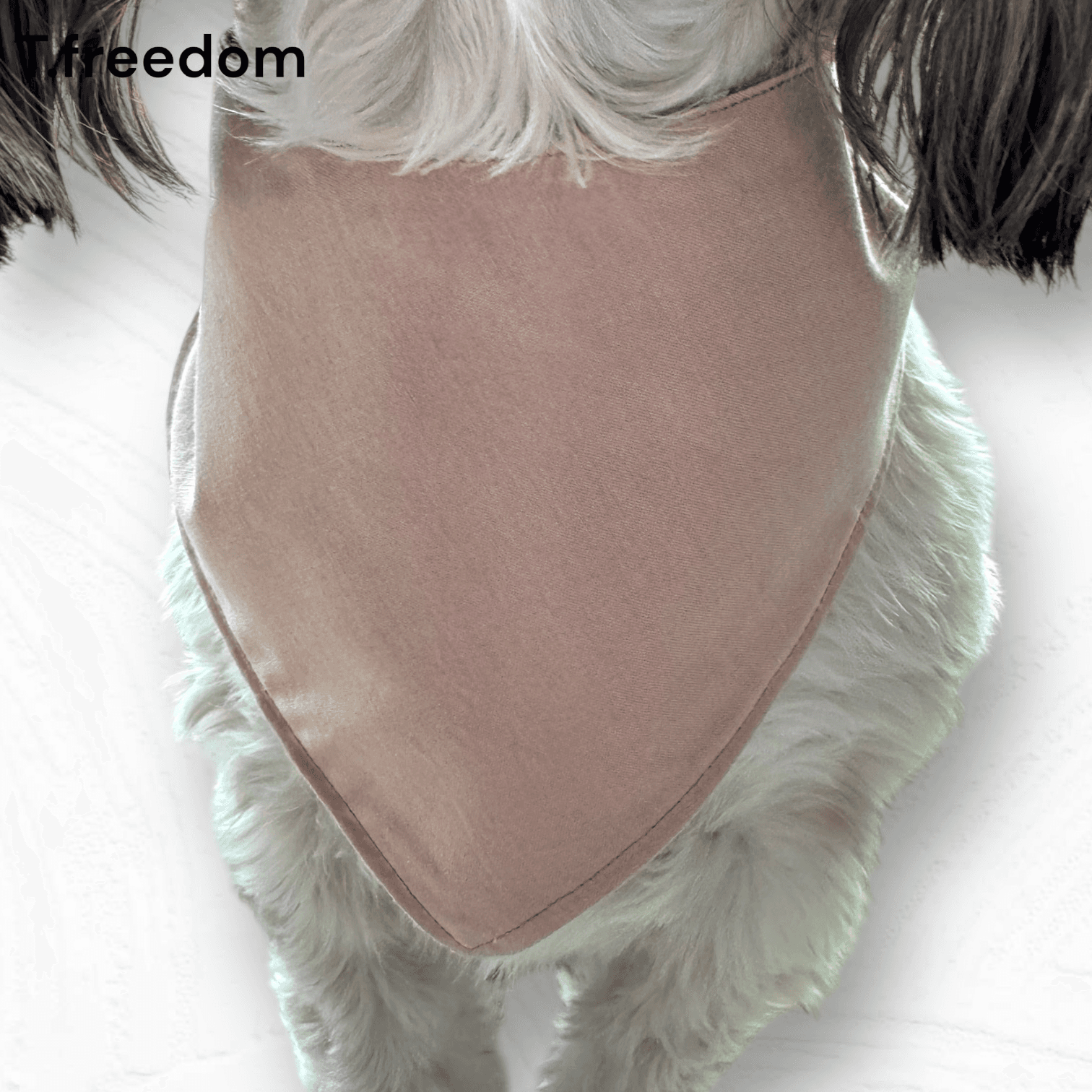 Hiking Buddy Adventure Dog Bandana gallery image
