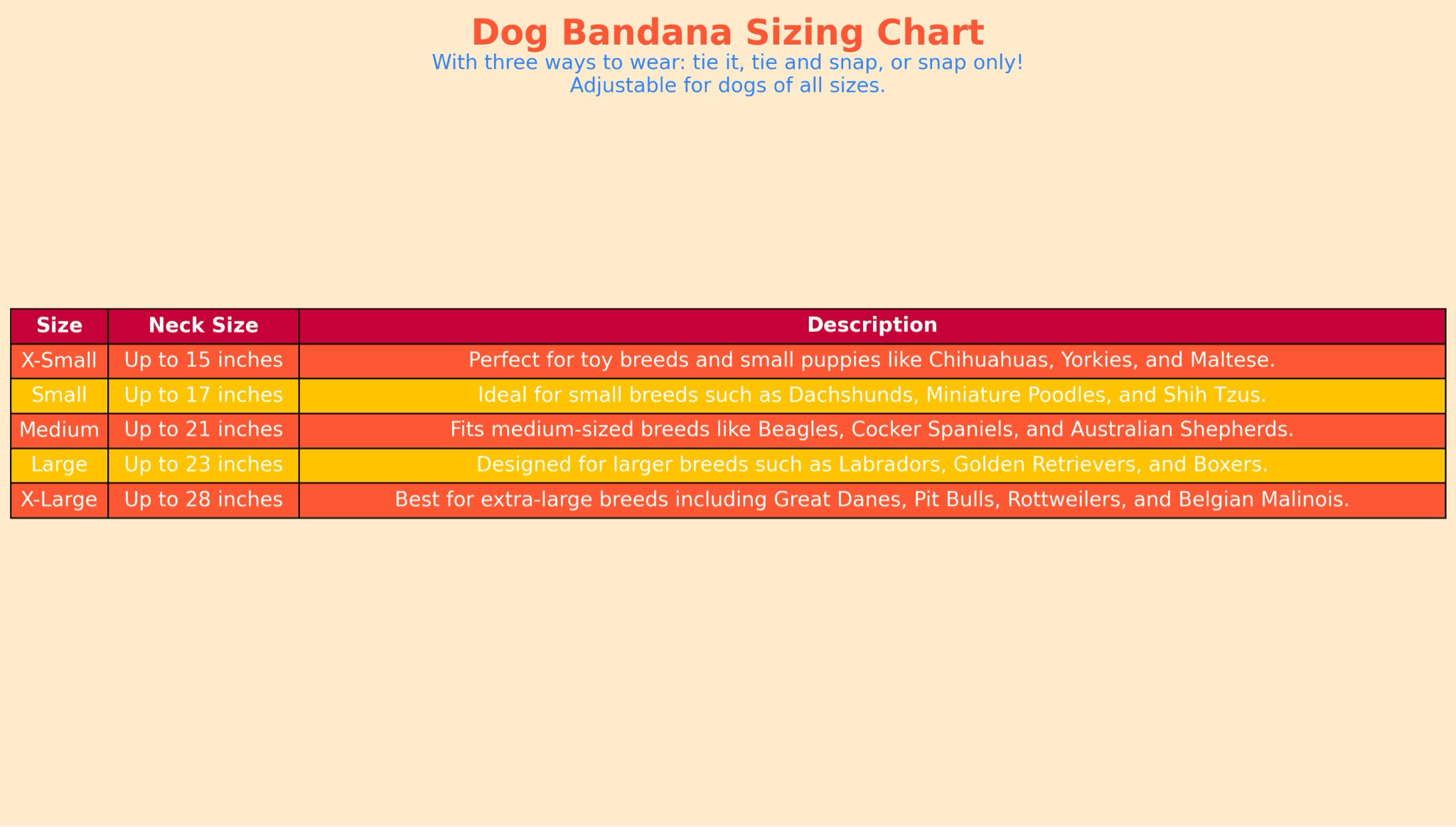 Hiking Buddy Adventure Dog Bandana gallery image