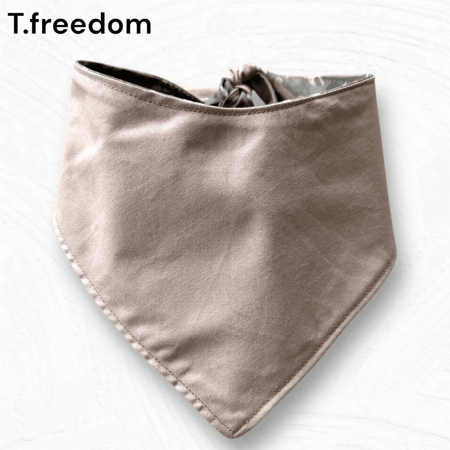 Hiking Buddy Adventure Dog Bandana gallery image