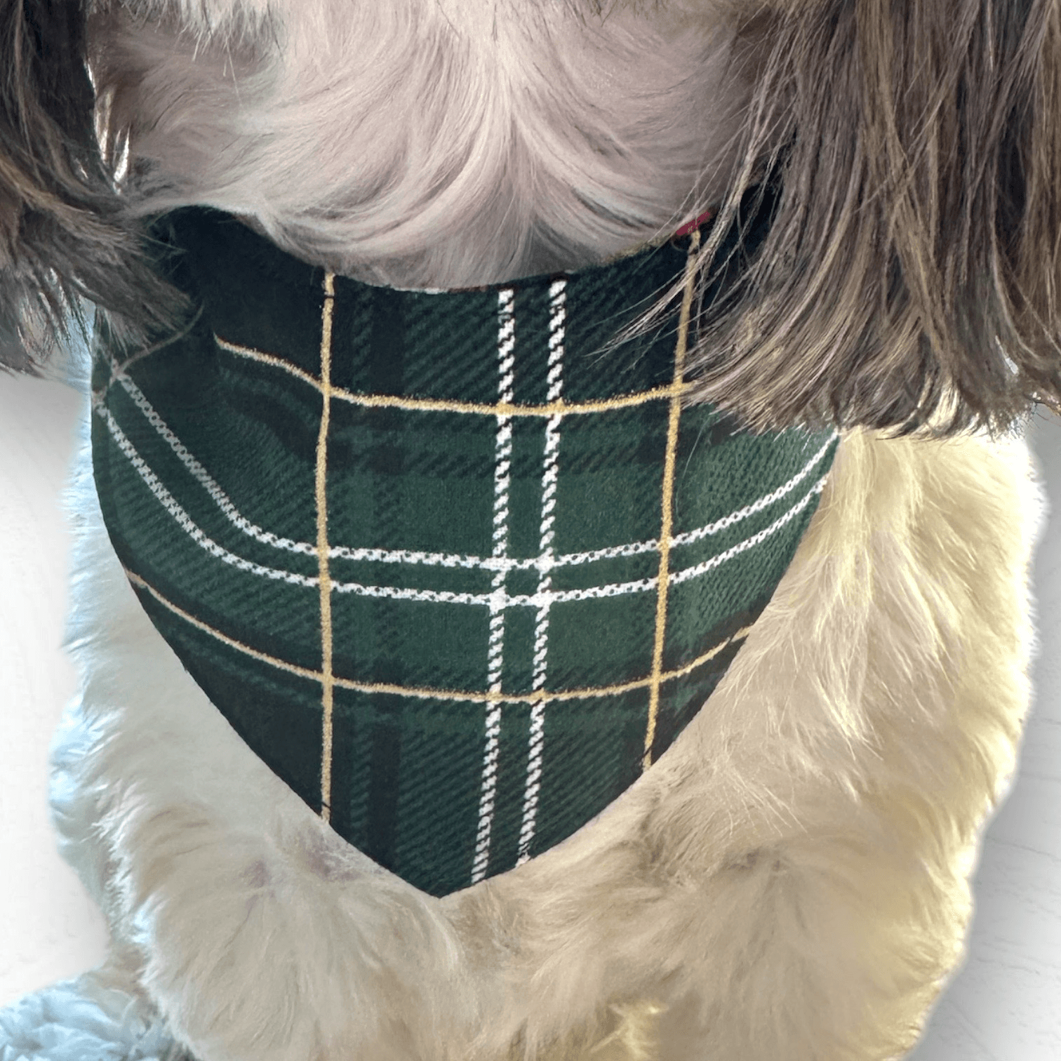 Santa Skulls Dog Bandana gallery image