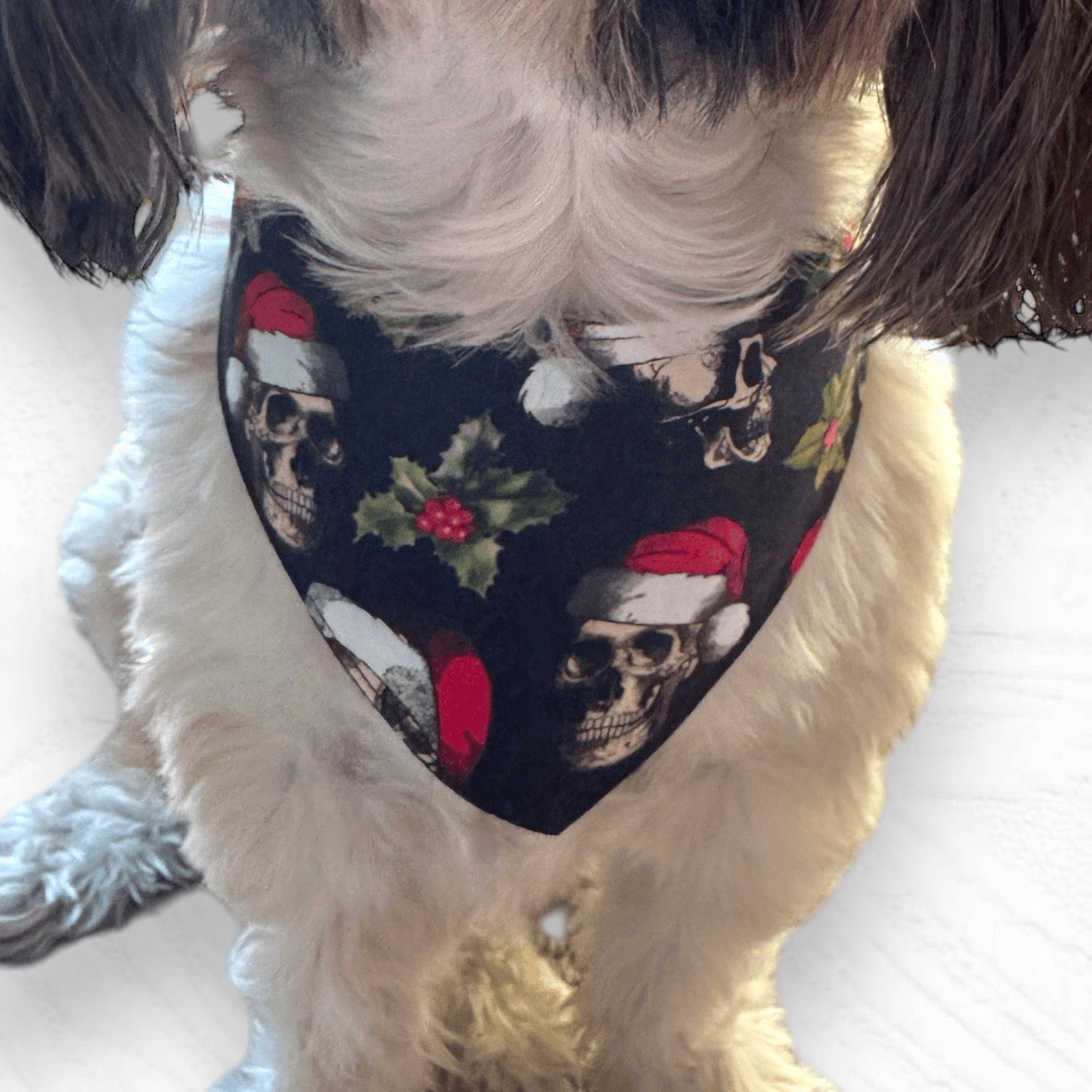 Santa Skulls Dog Bandana gallery image