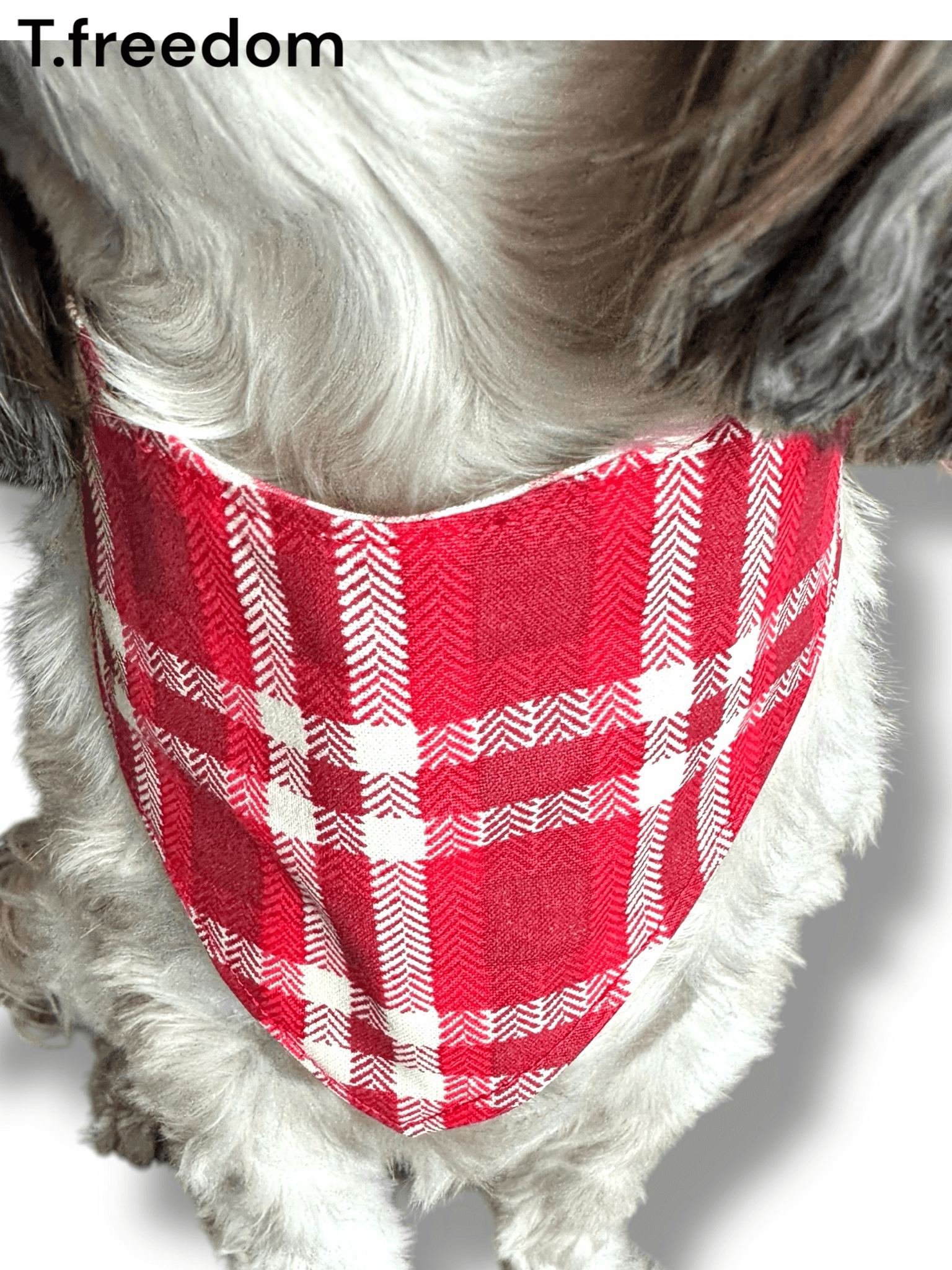 Smooches & Snuggles Dog Bandana gallery image