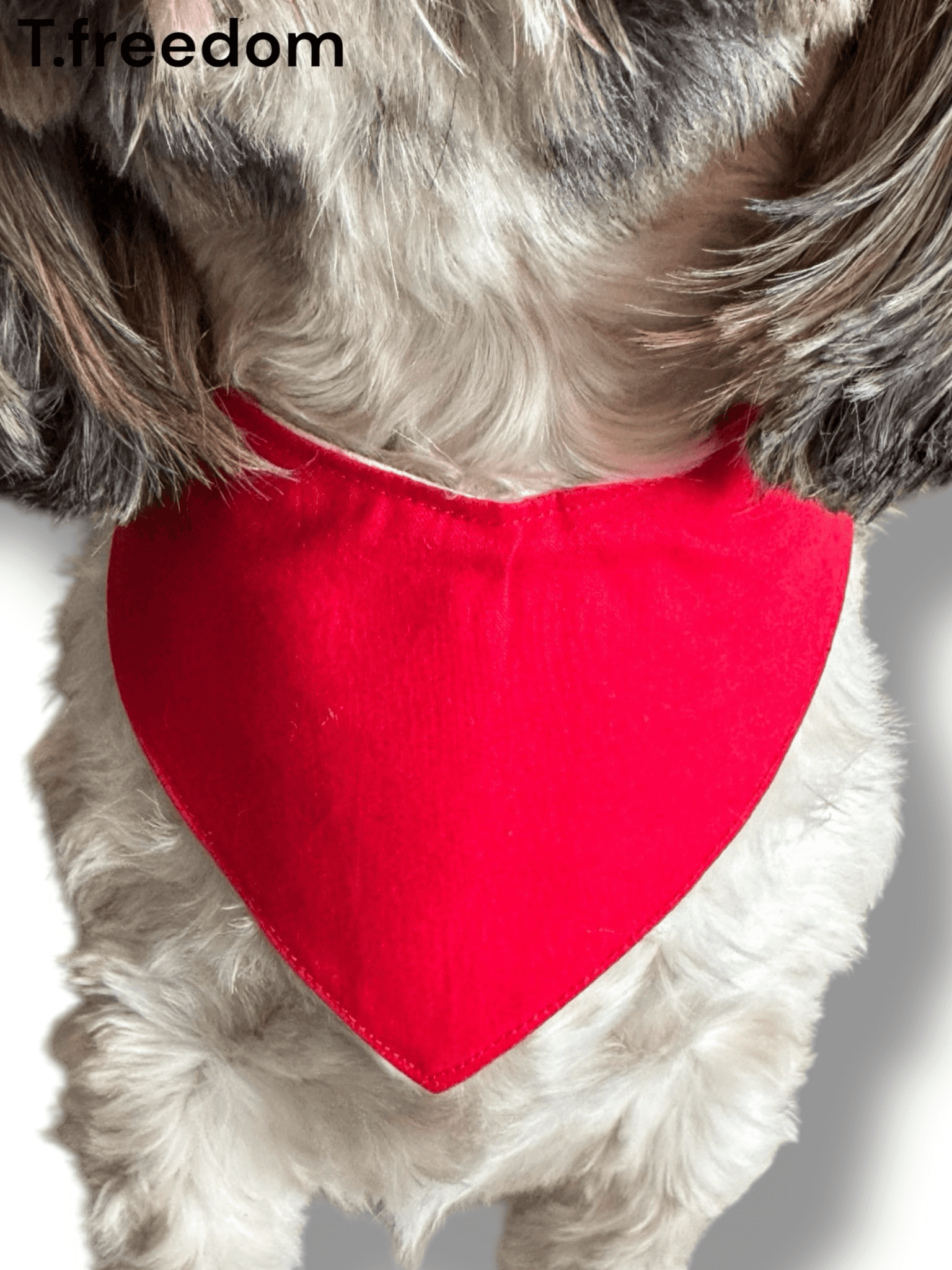 Kiss Me Quick Dog Bandana gallery image