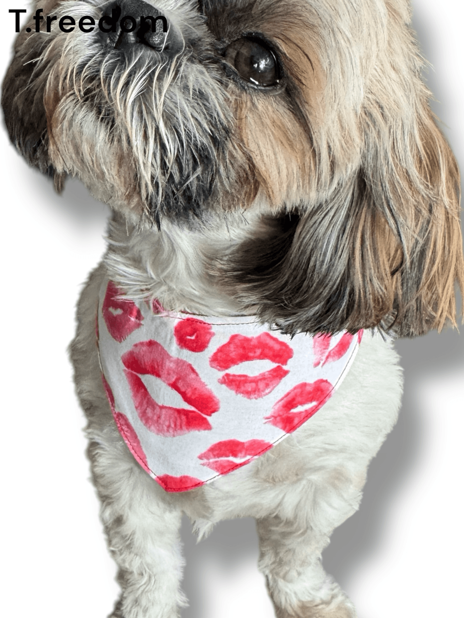 Kiss Me Quick Dog Bandana gallery image
