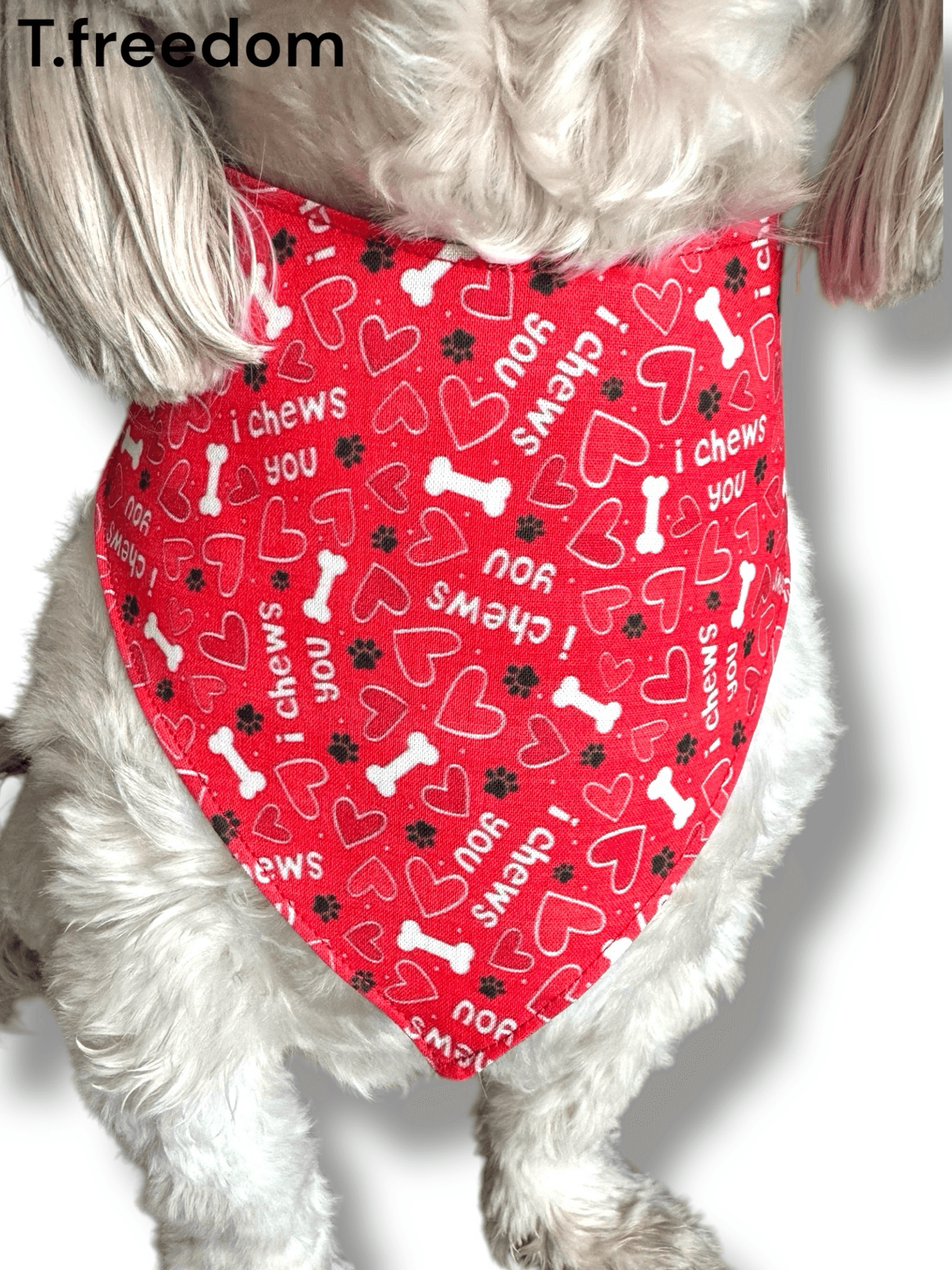 I Chews You Dog Bandana gallery image