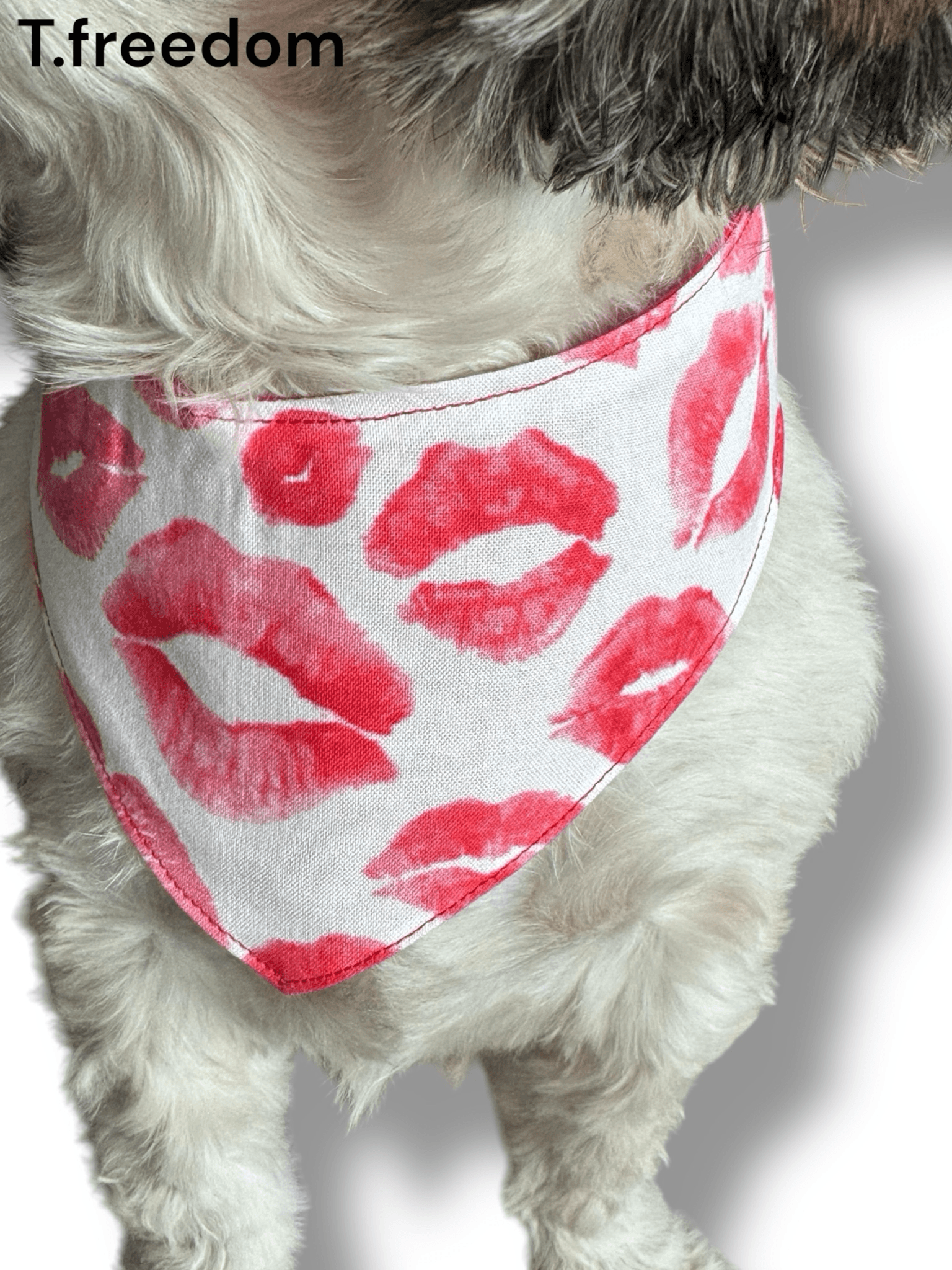 Kiss Me Quick Dog Bandana gallery image