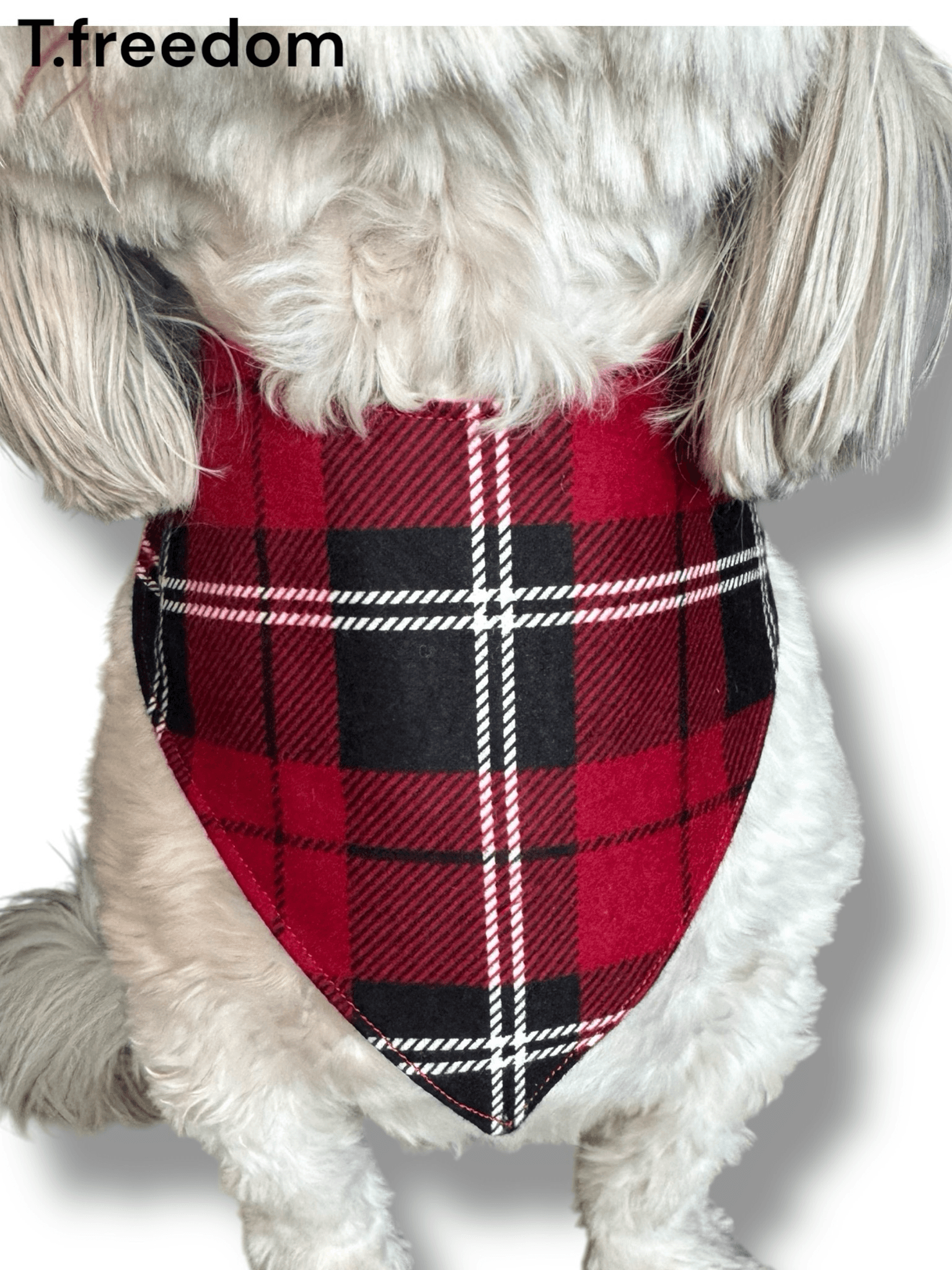 I Chews You Dog Bandana gallery image